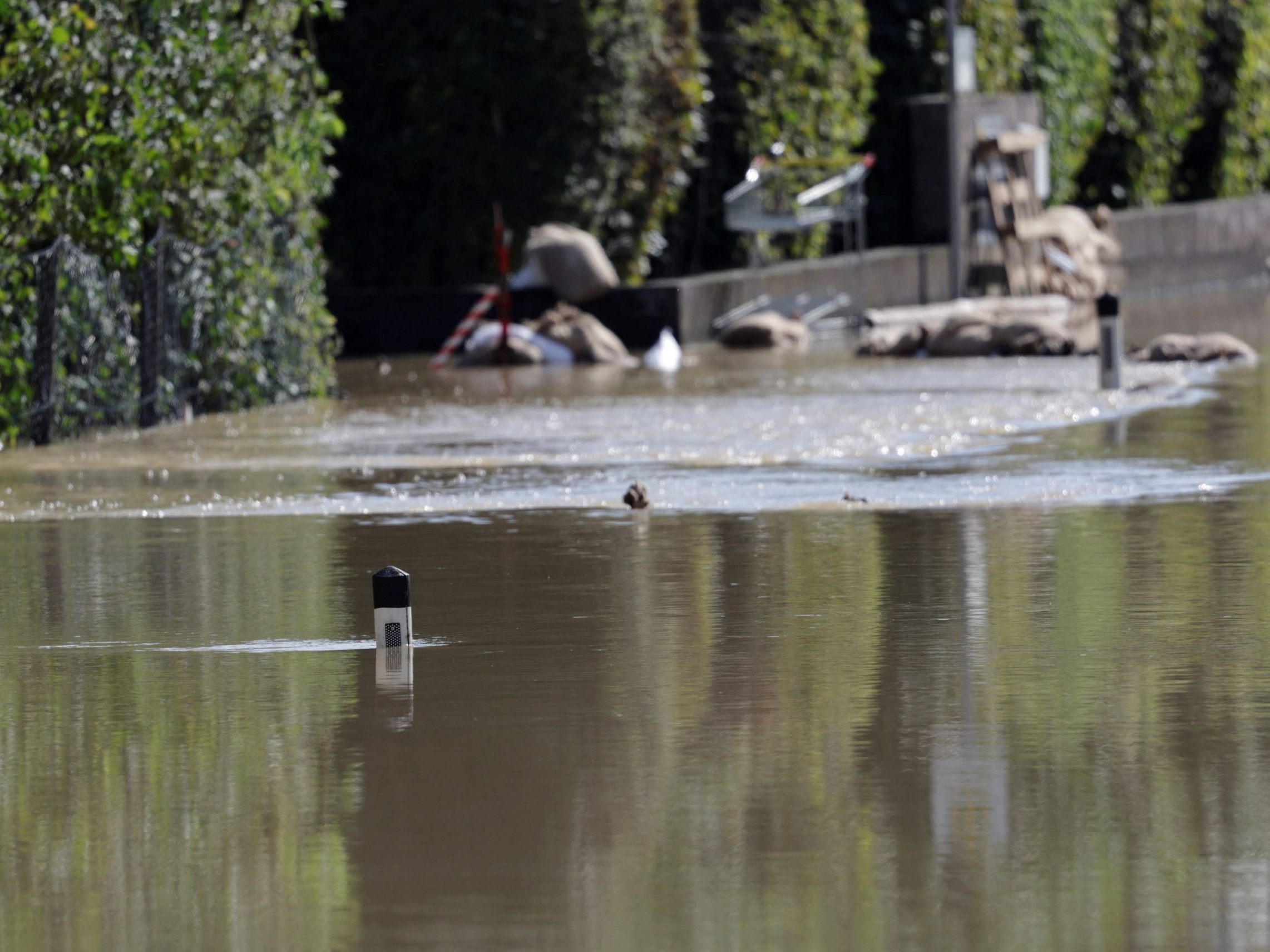 Im Bezirk Neusiedl am See wurde Hochwasser-Entwarnung gegeben. Im Bezirk Neusiedl am See wurde Hochwasser-Entwarnung gegeben.