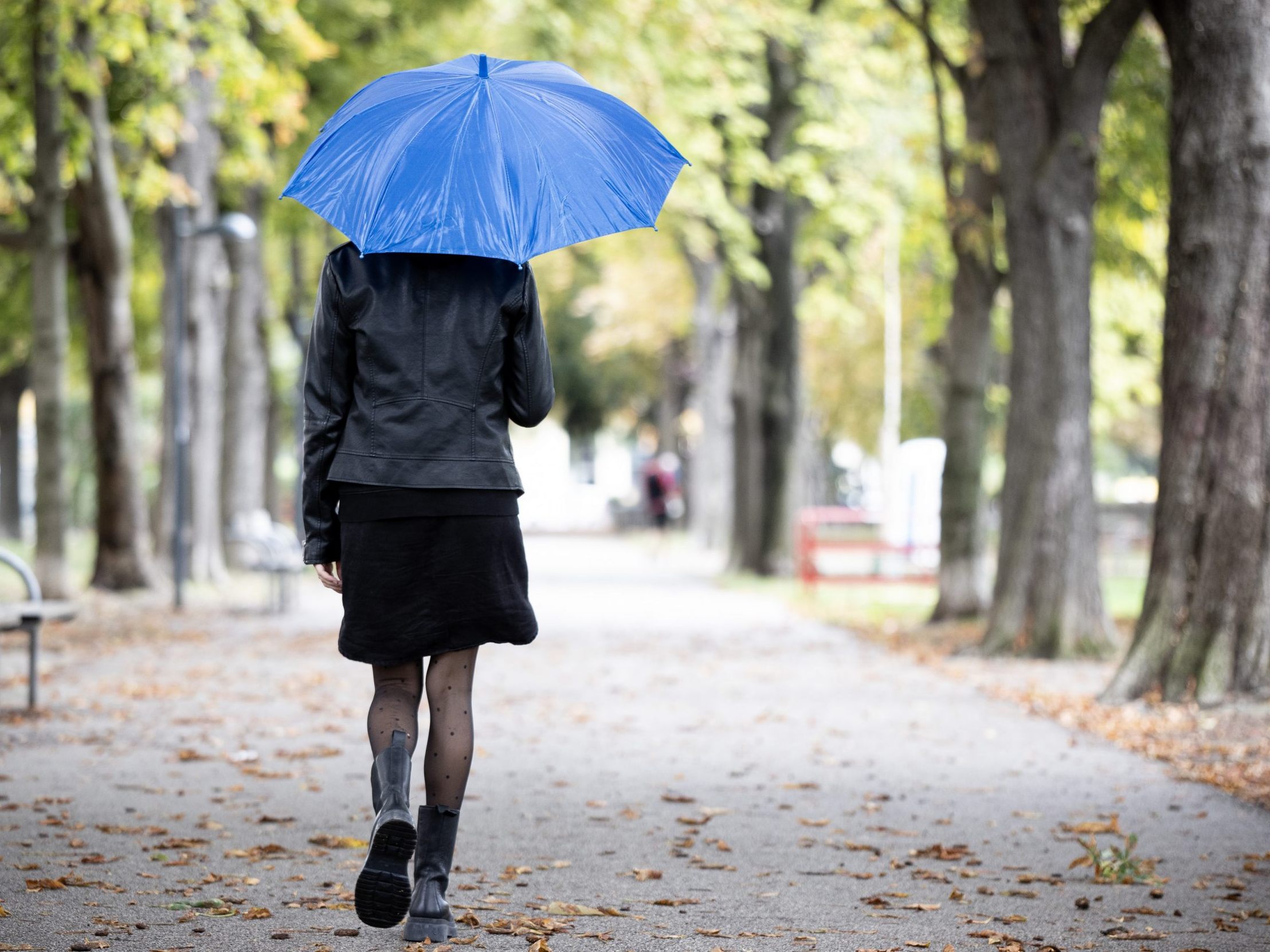 So wird das Wetter diese Woche. So wird das Wetter diese Woche.