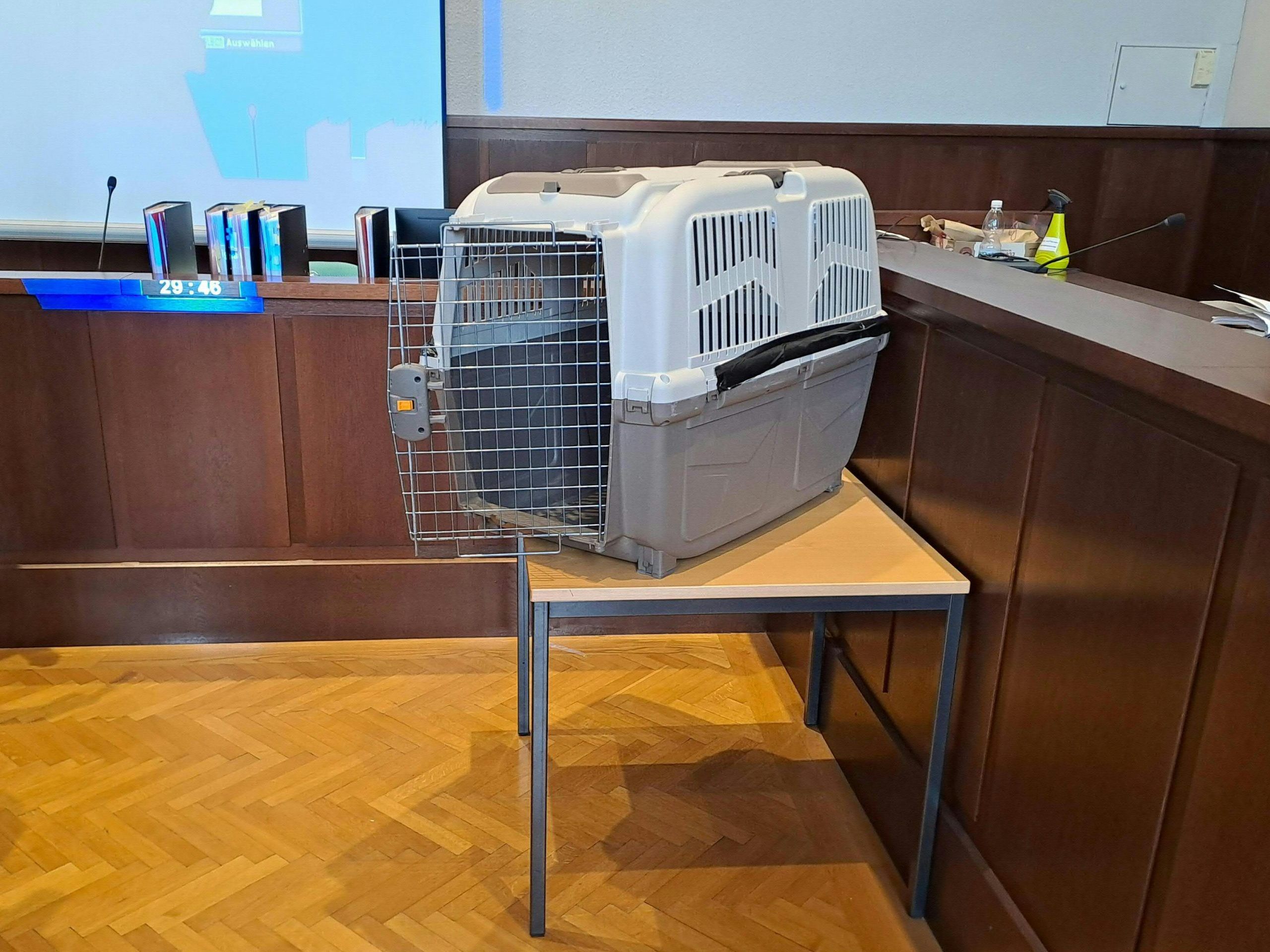 Das Bild zeigt eine Hundebox beim Prozess im Februar in Krems. Das Bild zeigt eine Hundebox beim Prozess im Februar in Krems.