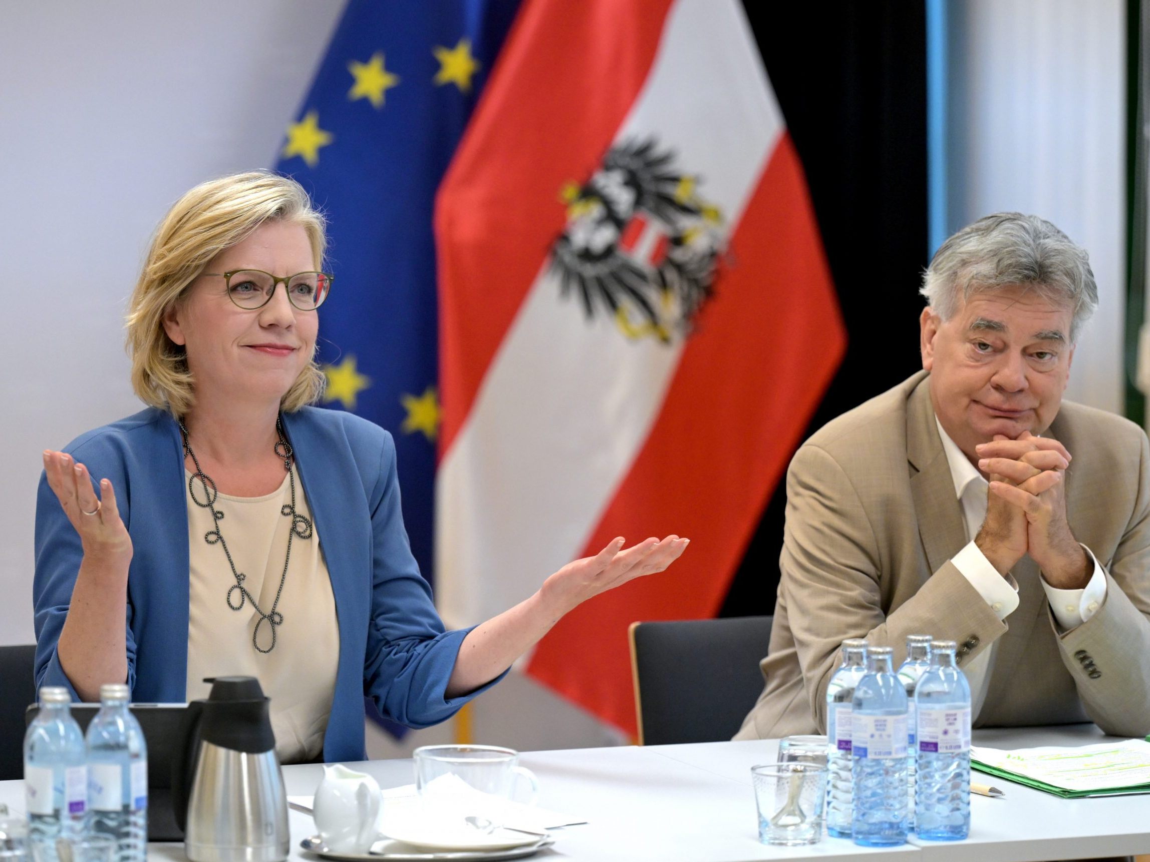 Noch vor der NR-Wahl wollen die Grünen die Energiegesetze beschließen.