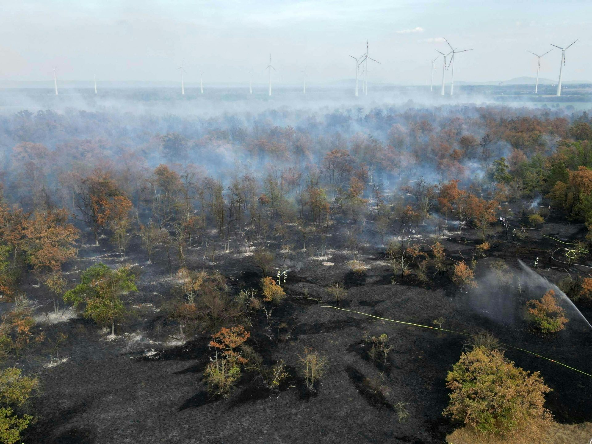 Die Flammen breiteten sich in Richtung einer Siedlung aus.