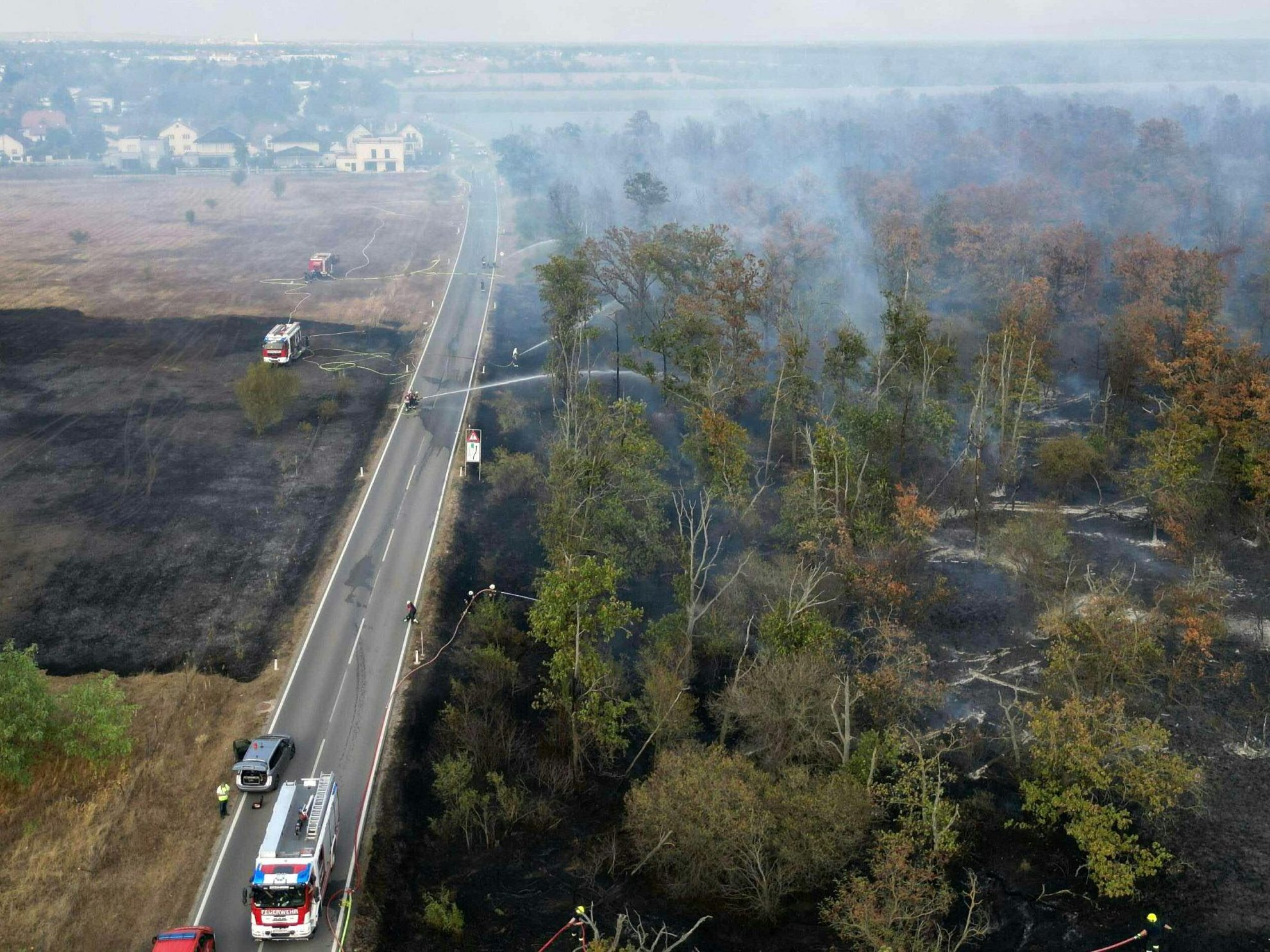 Beim Waldbrand im Raum Gänserndorf sind die Löscharbeiten weiter im Gange. Beim Waldbrand im Raum Gänserndorf sind die Löscharbeiten weiter im Gange.