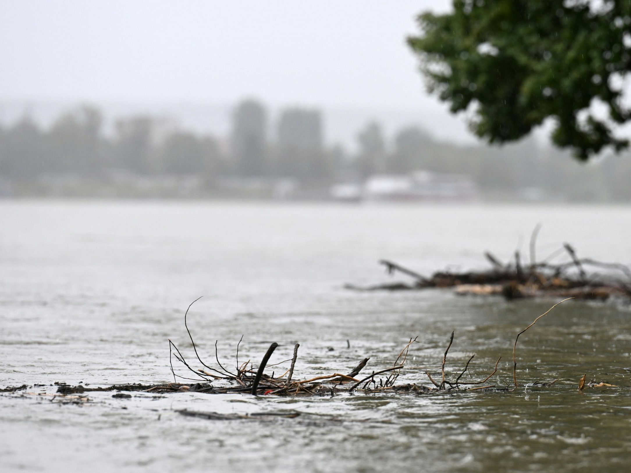 Die Donau bei Krems am vergangenen Samstag. Die Donau bei Krems am vergangenen Samstag.