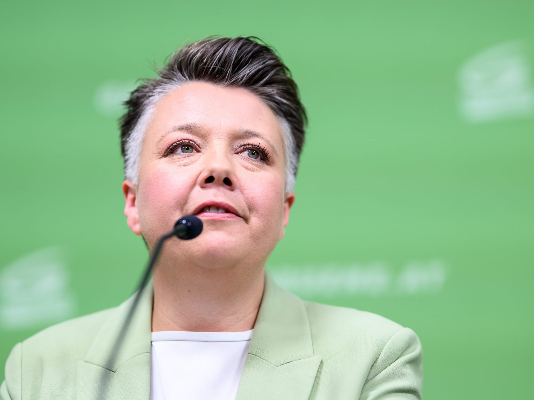 Die Grünen geben eine Pressekonferenz.