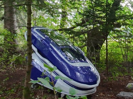 Das Foto zeigt die "Suizidkapsel" in einem Schweizer Waldstück, wo sich eine 64-Jährige Amerikanerin das Leben nahm.