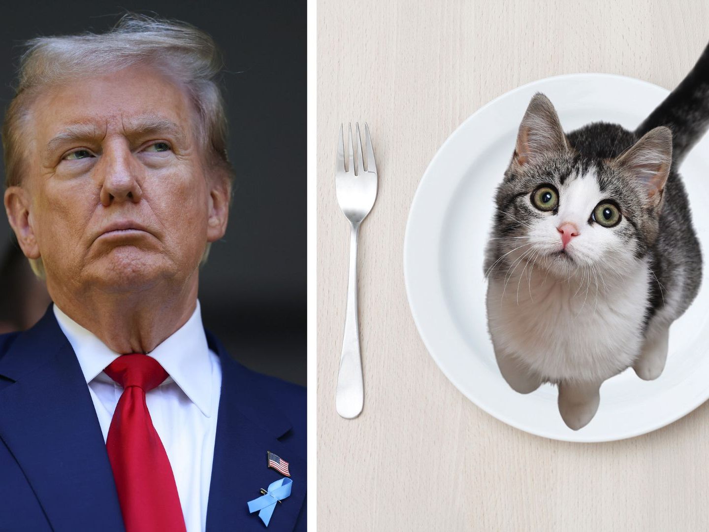 "We also don't eat cats and dogs", reagierte das deutsche Auswärtige Amt hämisch auf eine Aussage von Donald Trump in der Wahlkampfdebatte mit Kamala Harris. "We also don't eat cats and dogs", reagierte das deutsche Auswärtige Amt hämisch auf eine Aussage von Donald Trump in der Wahlkampfdebatte mit Kamala Harris.