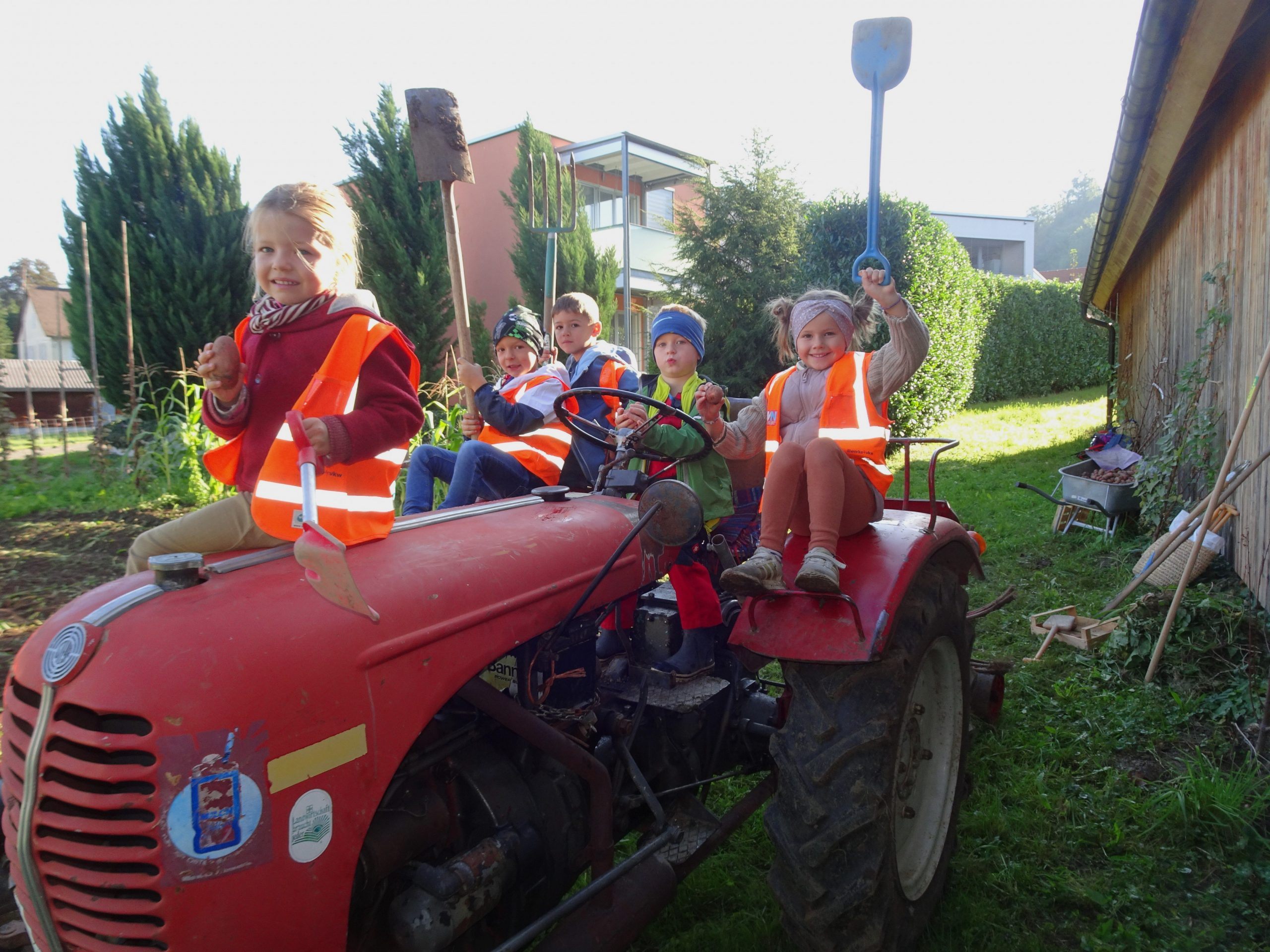 Greta Jonathan, Anton, Jeremias und Hilda vom Kindergarten Watzenegg hatten eine Menge Spaß bei der Kartoffelernte. Greta Jonathan, Anton, Jeremias und Hilda vom Kindergarten Watzenegg hatten eine Menge Spaß bei der Kartoffelernte.