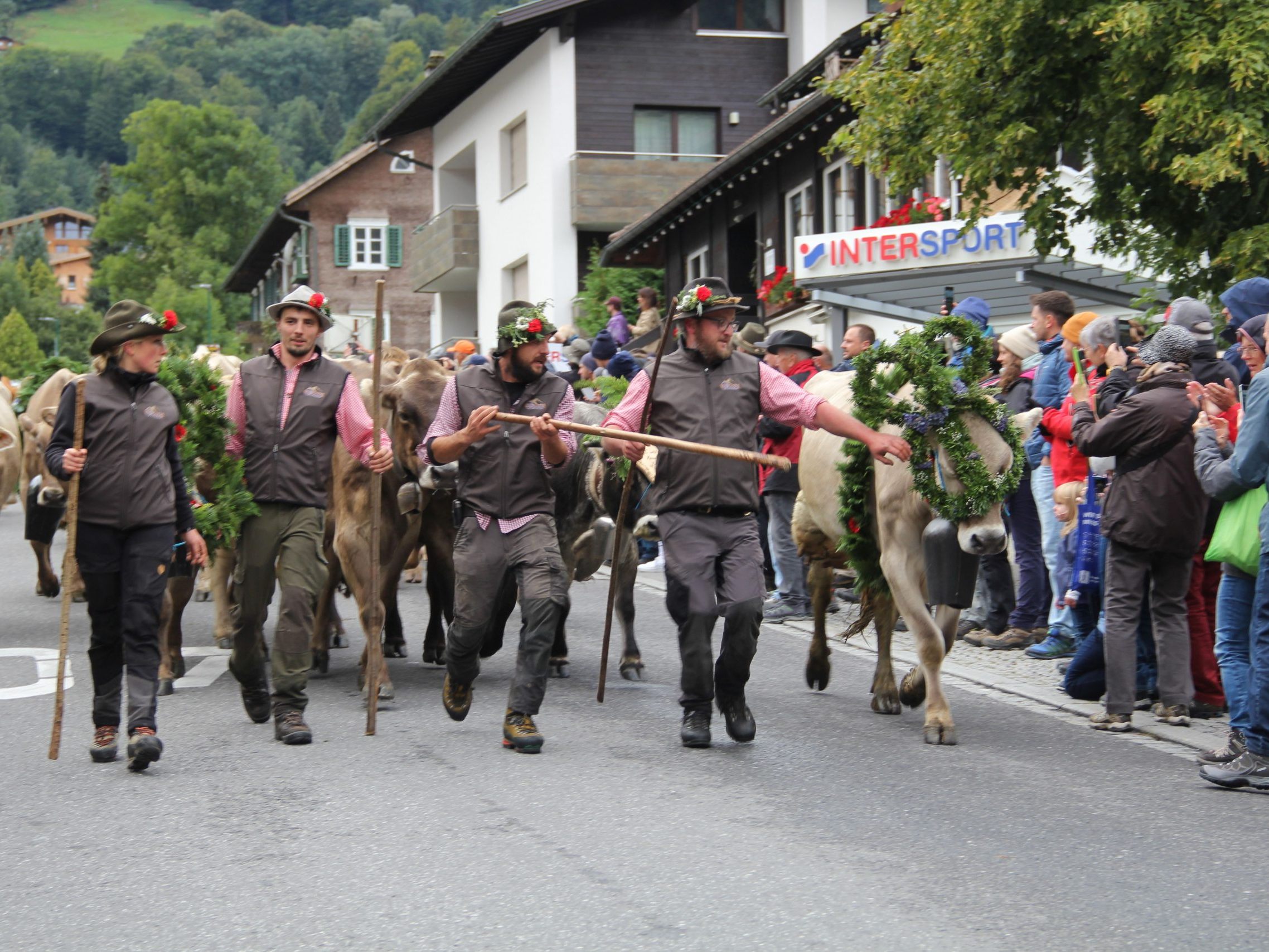 Wunderschön geschmückte Kühe liefen beim großen Alpabtrieb durch das Tschaggunser Dorfzentrum. Wunderschön geschmückte Kühe liefen beim großen Alpabtrieb durch das Tschaggunser Dorfzentrum.