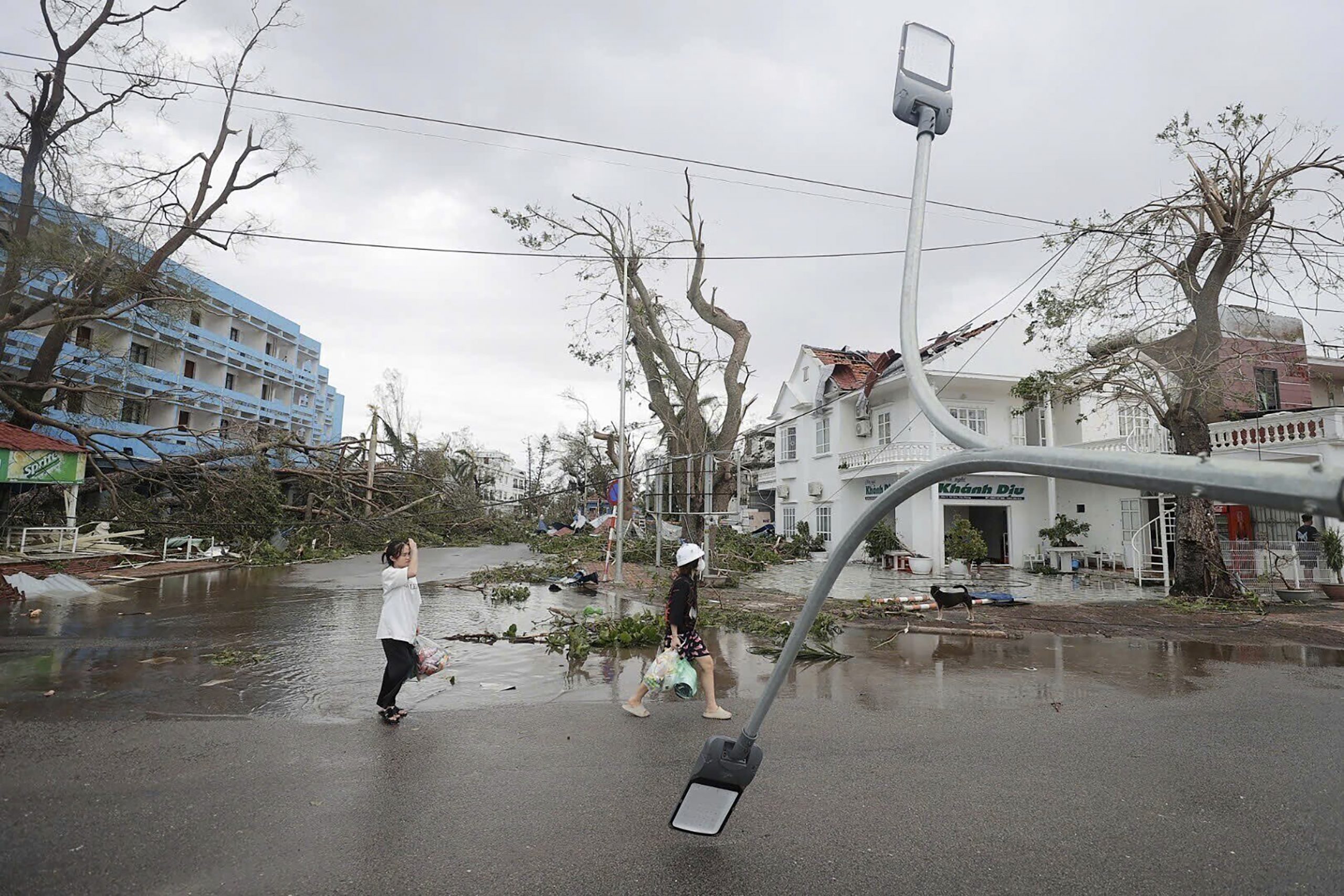 ©AP; AFP; REUTERS