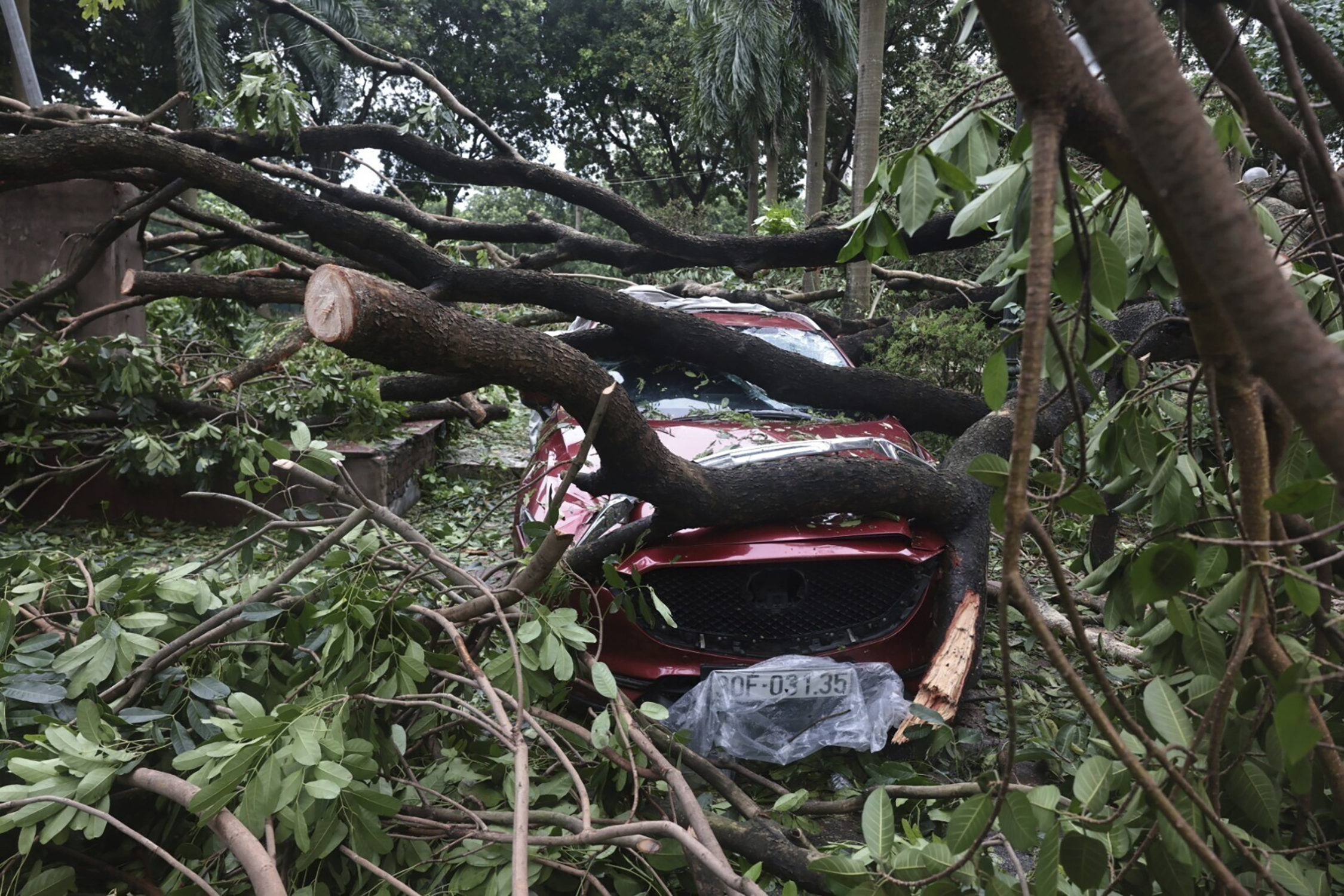 ©AP; AFP; REUTERS