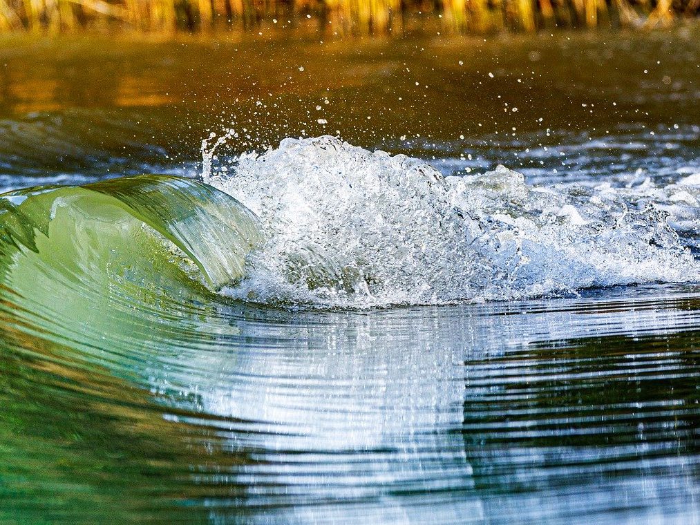 Der WWF will Wasserrückhalt statt einer Donau-Zuleitung für Ostösterreich.
