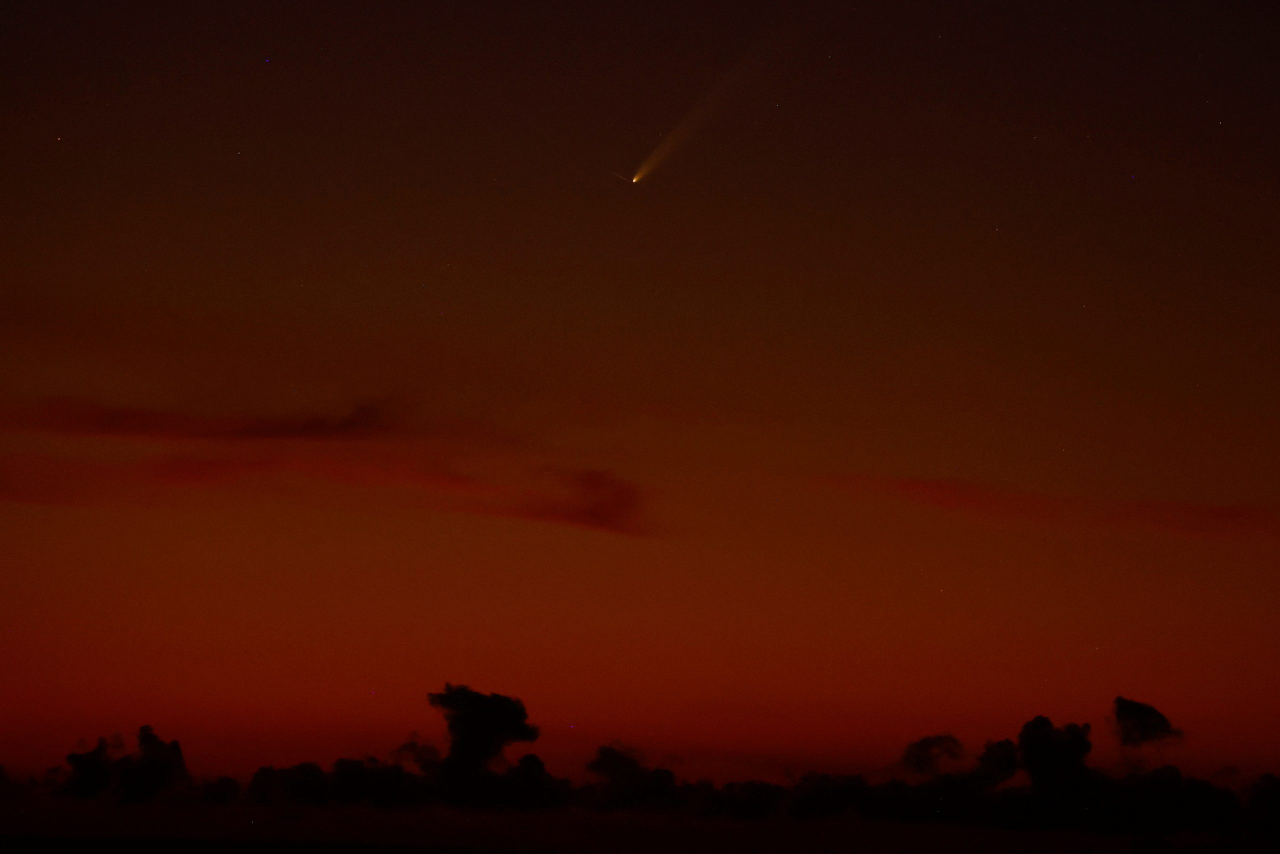 SPAIN-COMET/ SPAIN-COMET/