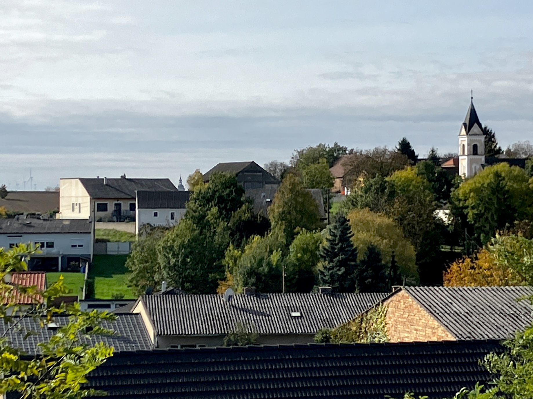 Die Leiche wurde mittels Roboter aus dem Kellerstollen geborgen. Die Leiche wurde mittels Roboter aus dem Kellerstollen geborgen.