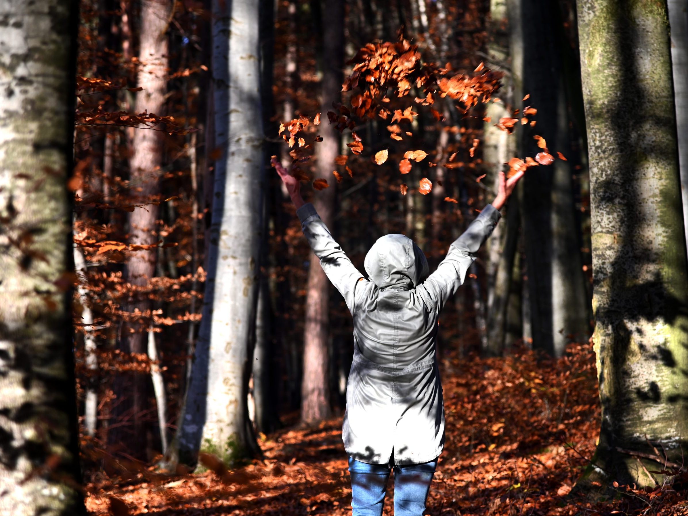 Föhn lässt die Temperaturen noch einmal steigen. Föhn lässt die Temperaturen noch einmal steigen.