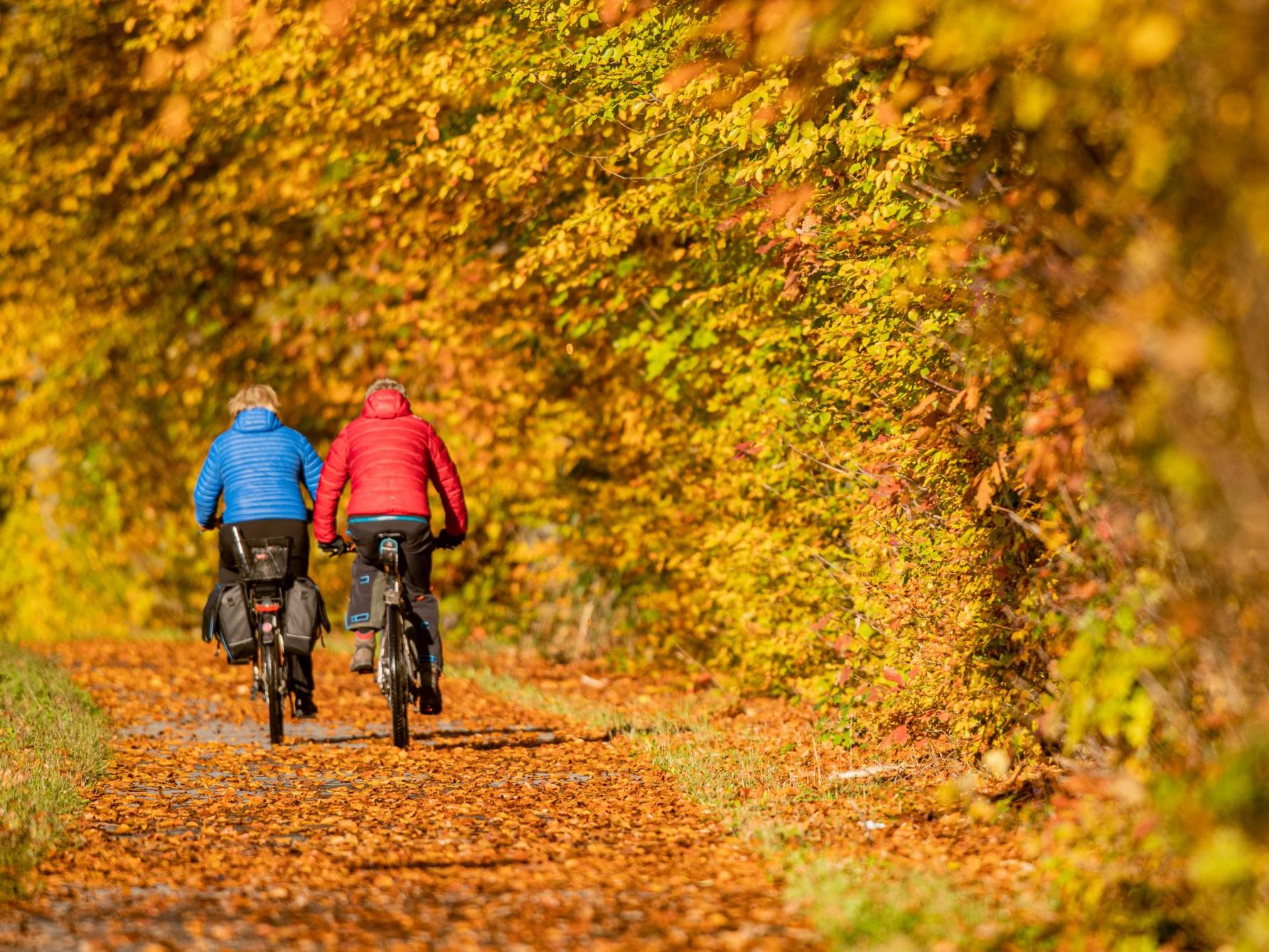 Diese Woche gibt es ruhiges und vor allem mildes Herbstwetter.