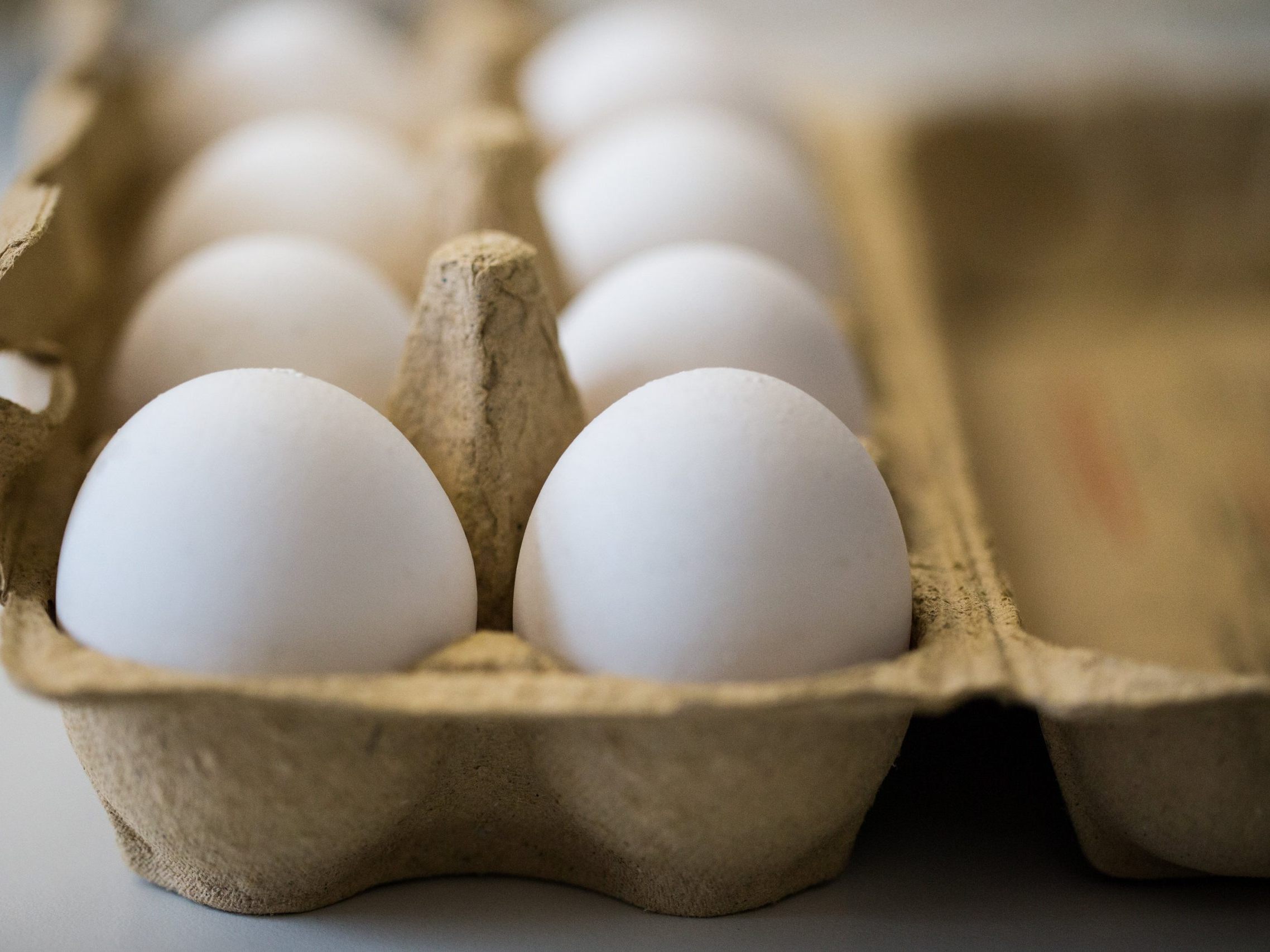 Käfighaltung ist in der Ei-Produktion in Österreich verboten - bei Import-Ware aber nicht. Käfighaltung ist in der Ei-Produktion in Österreich verboten - bei Import-Ware aber nicht.
