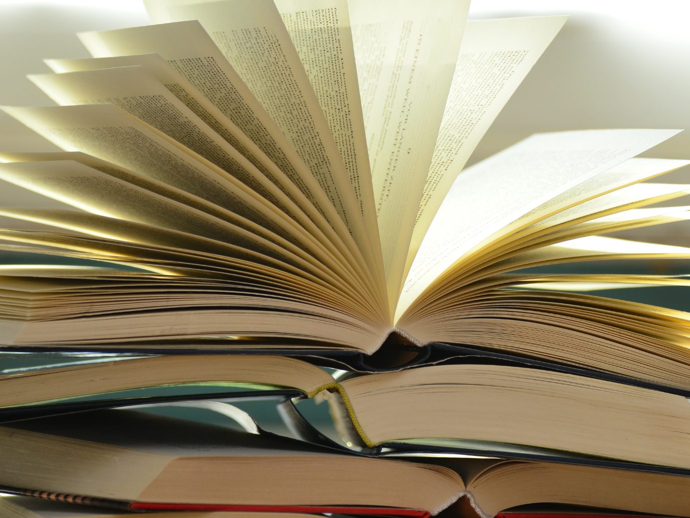 Die Stadt Wien prämiert Kinder- und Jugendbücher.