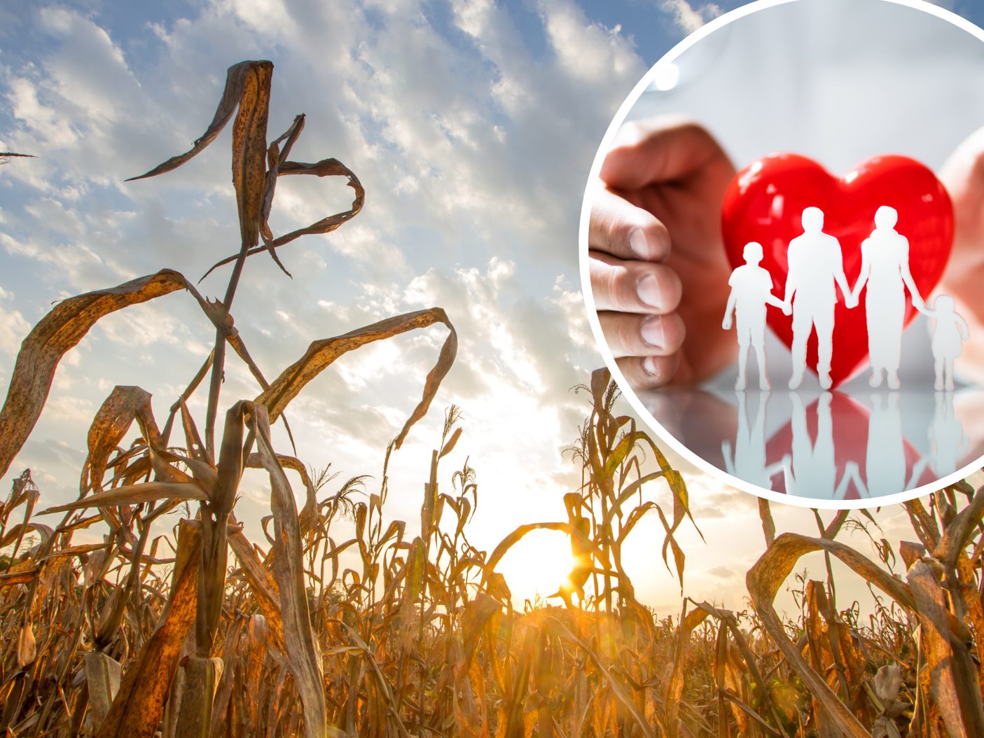 Durch den Klimawandel wird die Gesundheit zunehmend beeinträchtigt.
