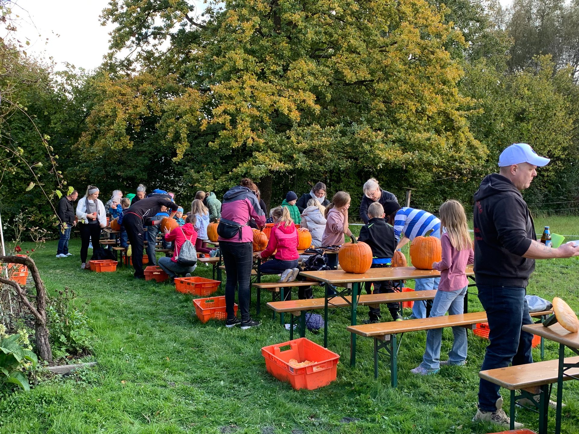 Viele nutzten das schöne Wetter, um gemeinsam einen Kürbis beim Kürbisfest des OGV zu schnitzen. Viele nutzten das schöne Wetter, um gemeinsam einen Kürbis beim Kürbisfest des OGV zu schnitzen.
