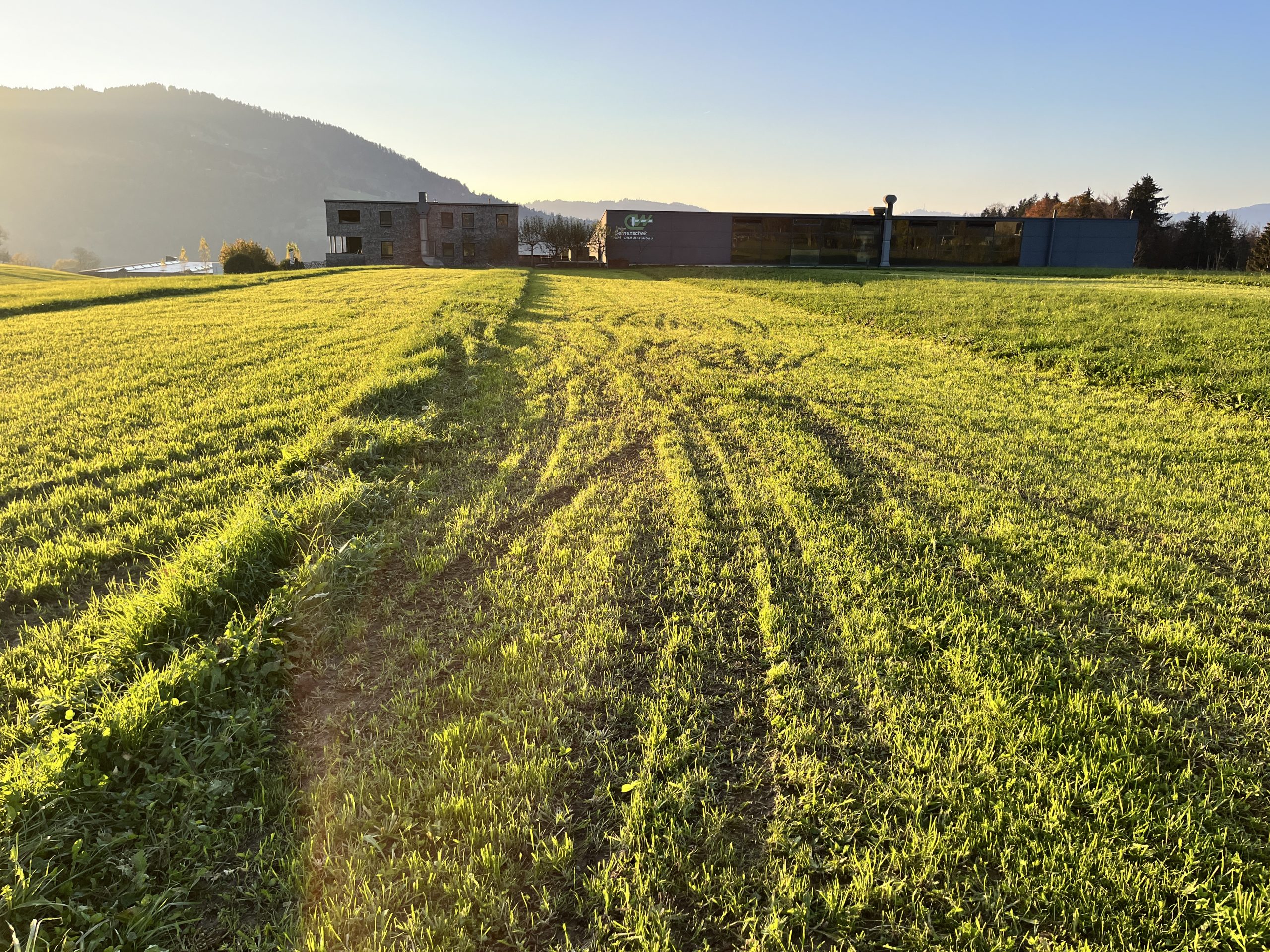 Durch die mutwillige Zerstörung muss der Landwirt aus Lingenau jetzt zusätzlich Arbeit leisten.