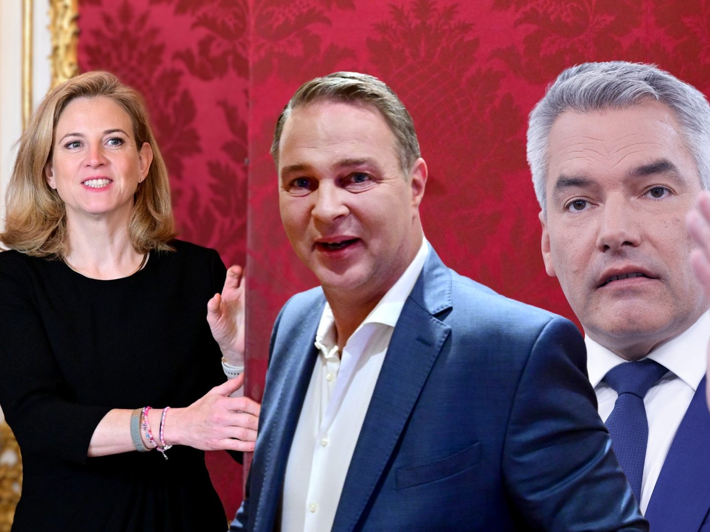 Koalition: Meinl-Reisinger will mehr Tempo Koalition: Meinl-Reisinger will mehr Tempo