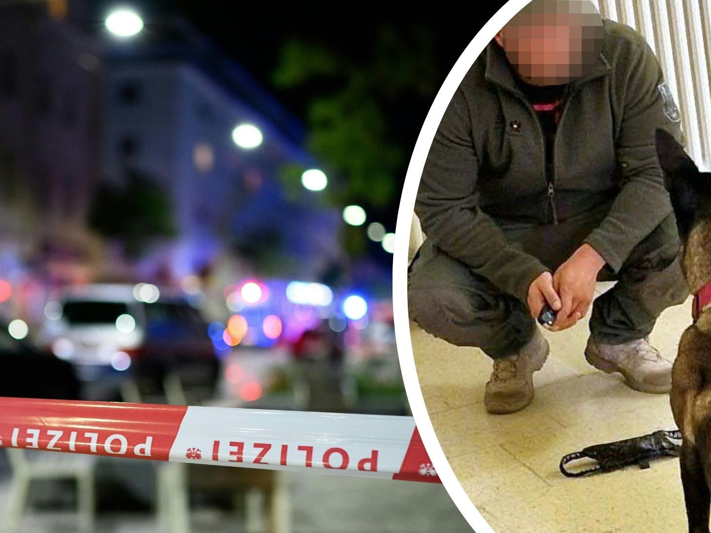 Polizeihund findet Drogen auf der Fluchtroute