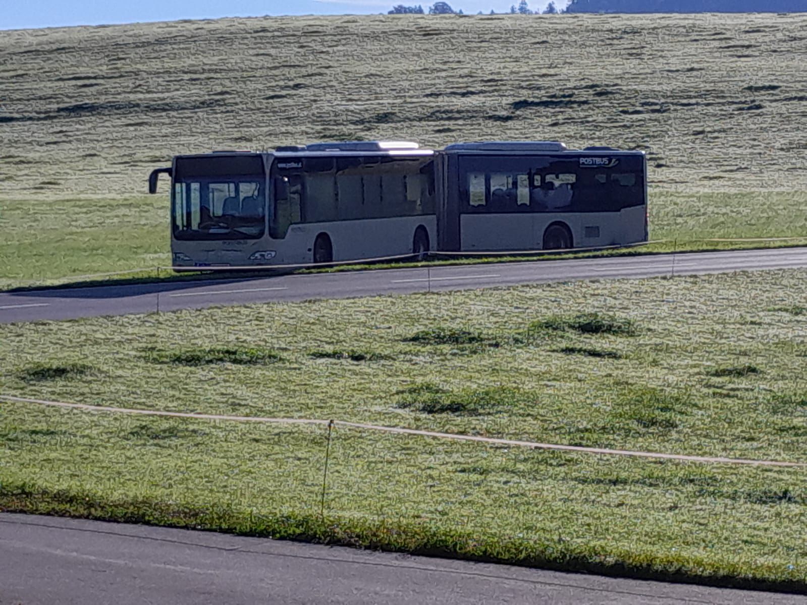 Laut ÖBB-Pressesprecher wollte der Lenker den Bus auf der Wiese wenden.