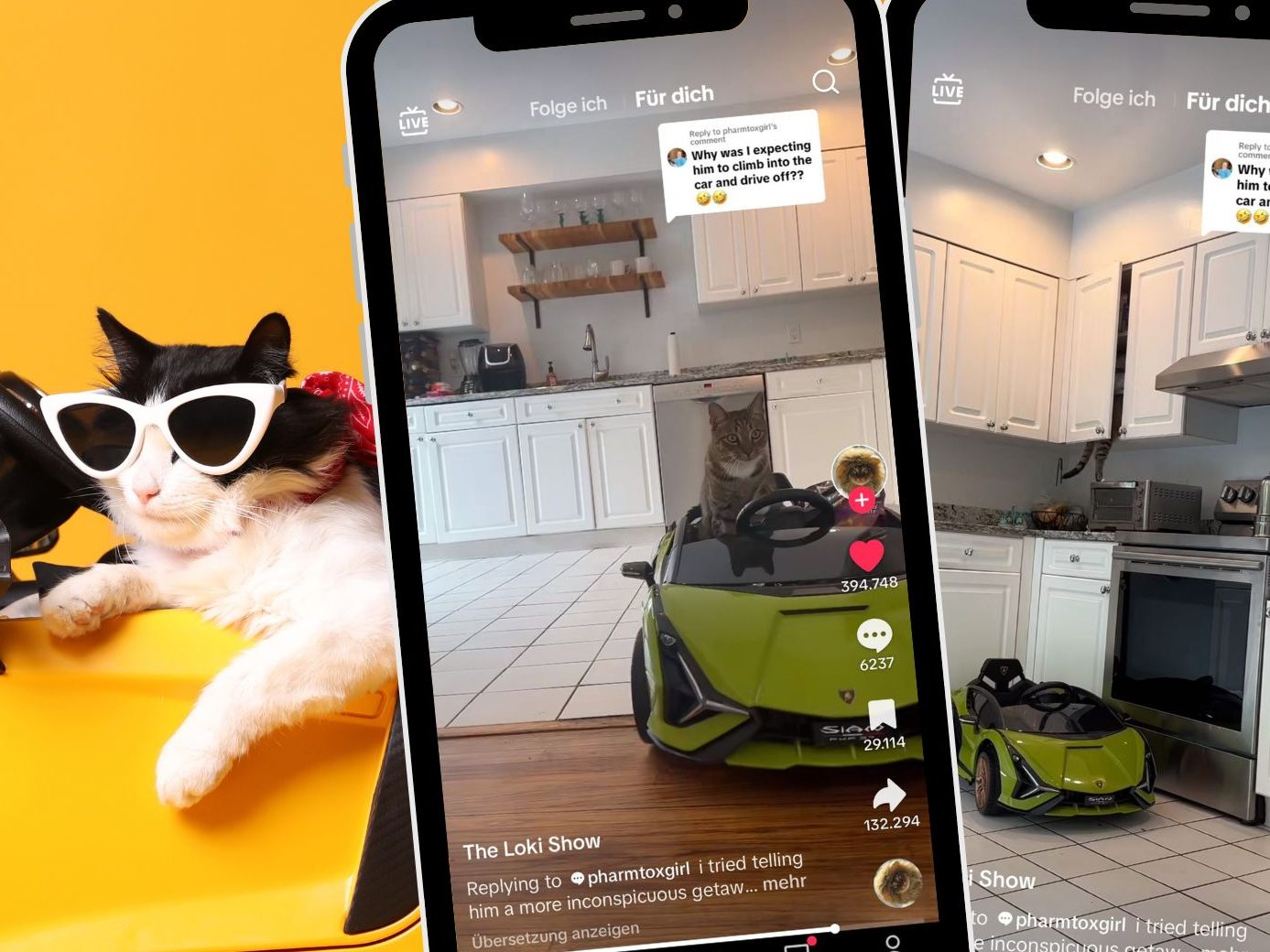 In einem TikTok-Video klaut eine Katze Doritos und flüchtet im Spielzeugauto. In einem TikTok-Video klaut eine Katze Doritos und flüchtet im Spielzeugauto.
