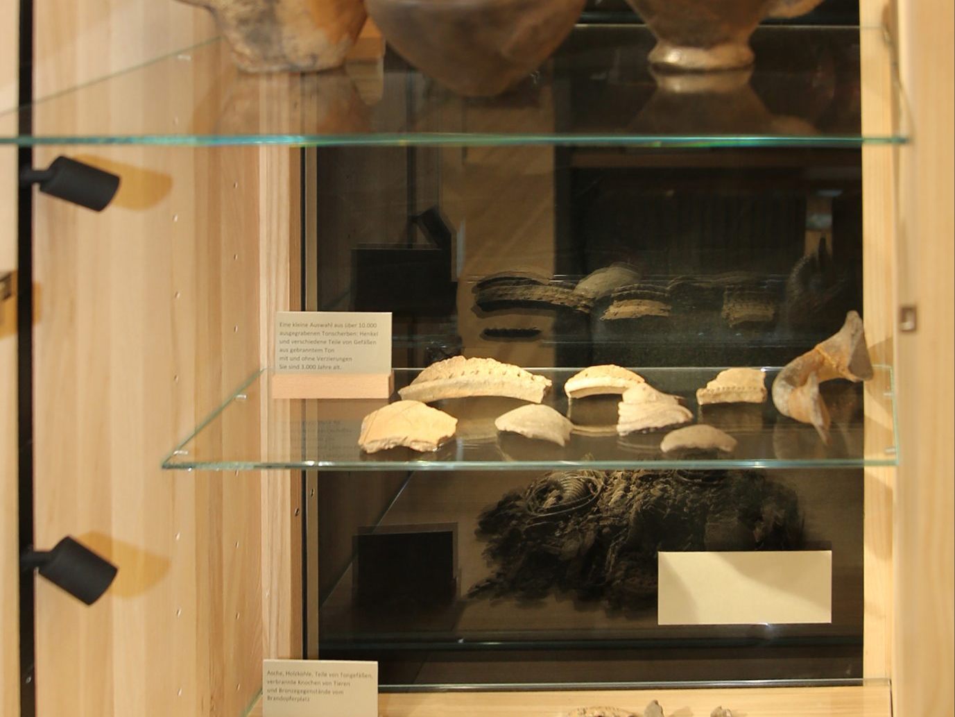 Vitrine mit Funden