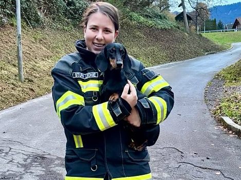 Hund konnte unversehrt gerettet werden Hund konnte unversehrt gerettet werden