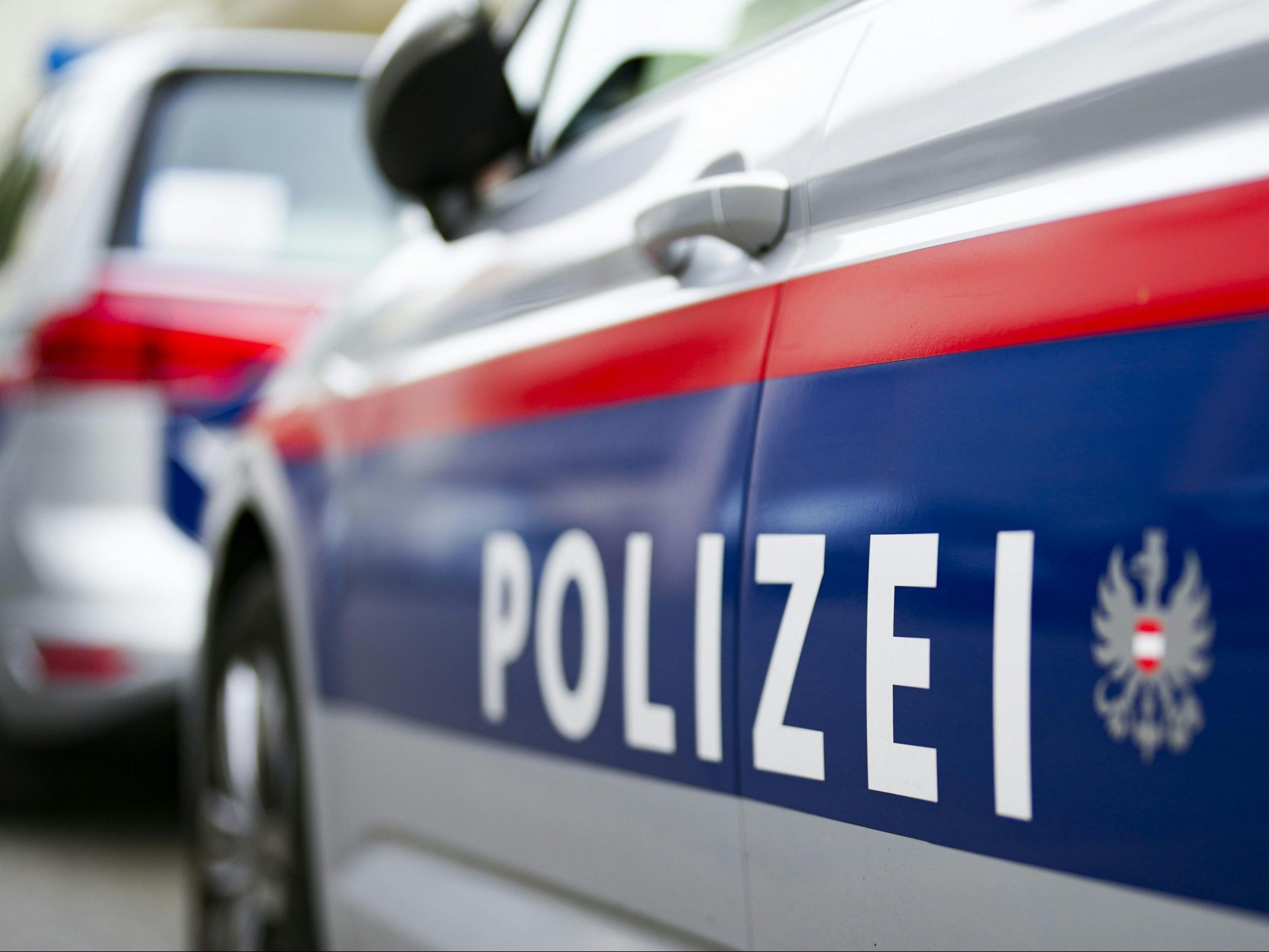Über Anordnung der Staatsanwaltschaft Wien wurde der Mann in eine Justizanstalt gebracht.