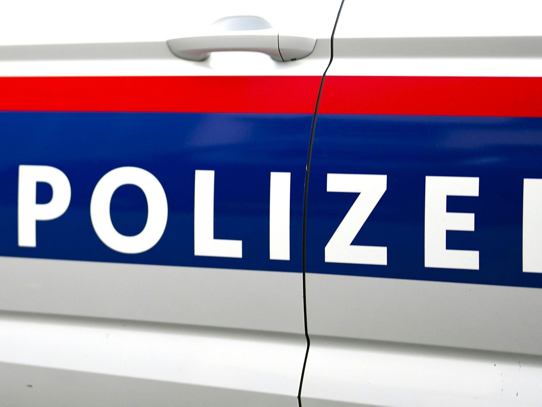 Die beiden wurden in eine Justizanstalt gebracht. Die beiden wurden in eine Justizanstalt gebracht.