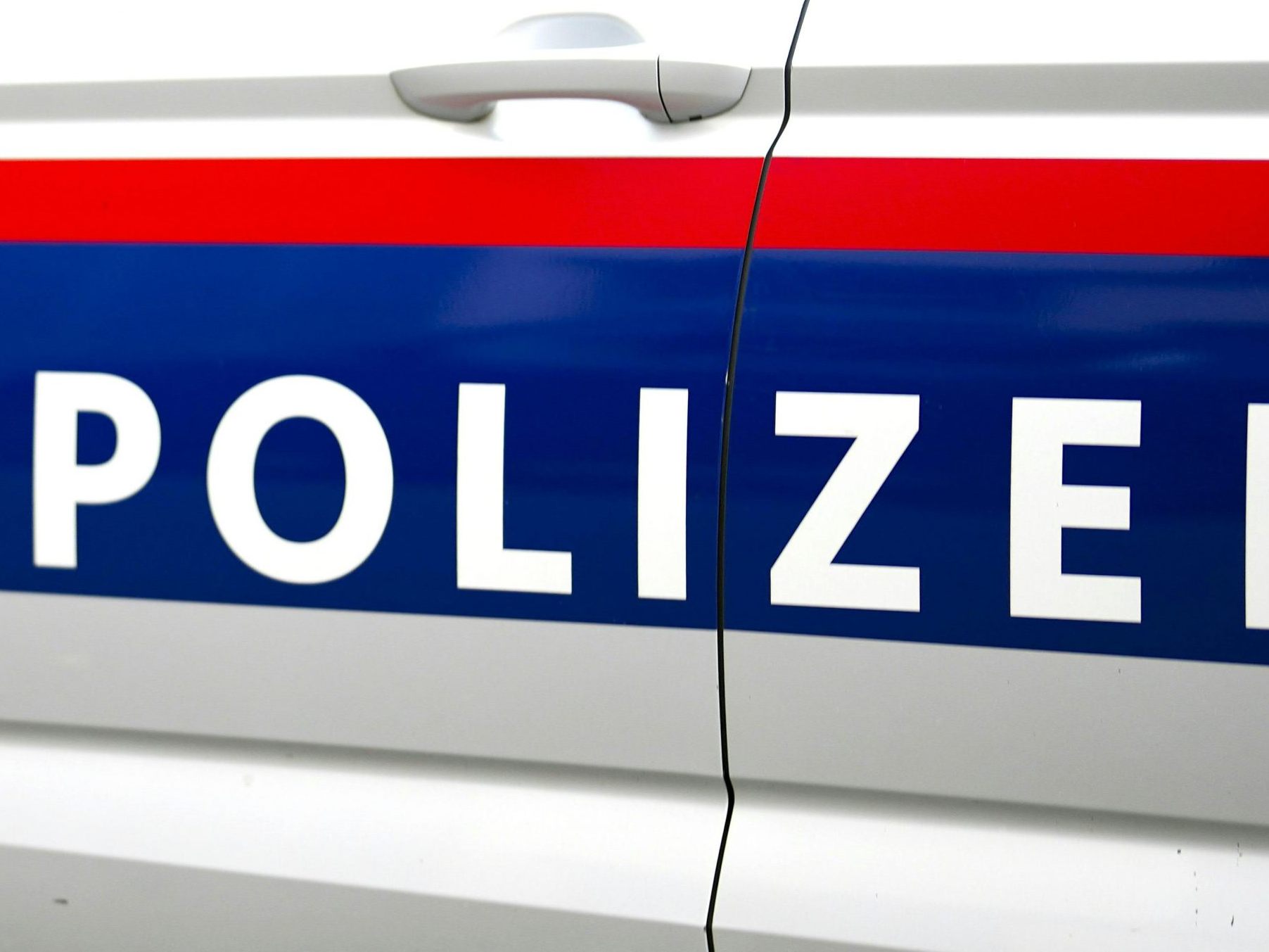 Zudem hatte der Fahrer offene Strafakte, welche letztlich auch beglichen wurden.