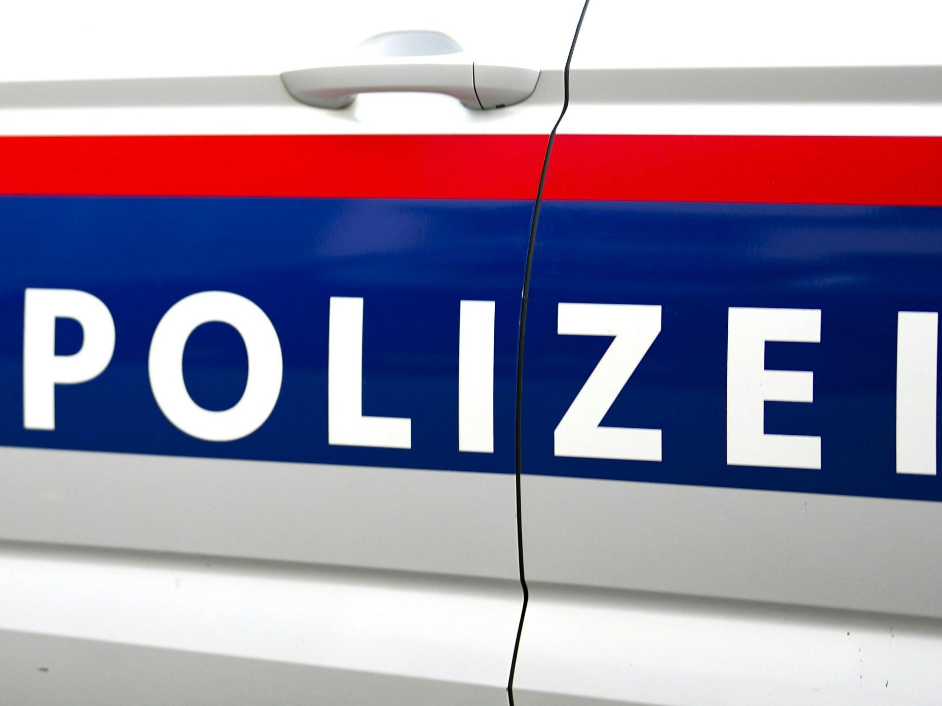 Der Mann wurde in eine Justizanstalt gebracht.