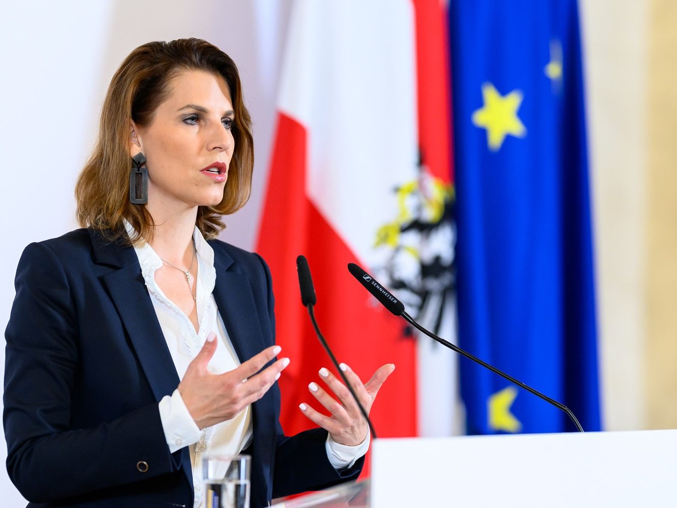 Edtstadler ist ehemalige Staatssekretärin im Innenministerium und war früher auch Teil des EU-Parlament. Edtstadler ist ehemalige Staatssekretärin im Innenministerium und war früher auch Teil des EU-Parlament.