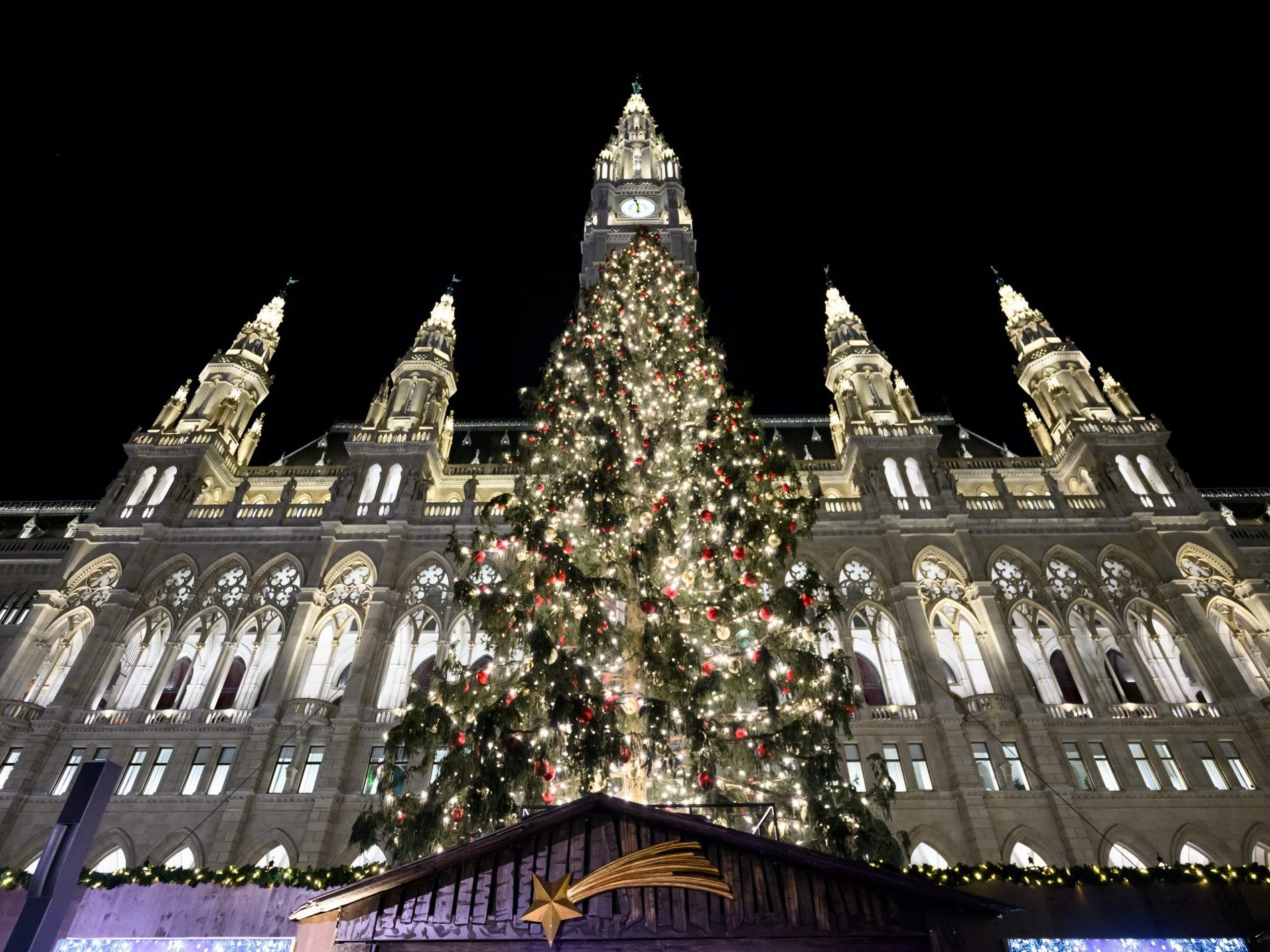 Der Christbaum am Wiener Rathausplatz erstrahlt in vollem Glanz. Der Christbaum am Wiener Rathausplatz erstrahlt in vollem Glanz.