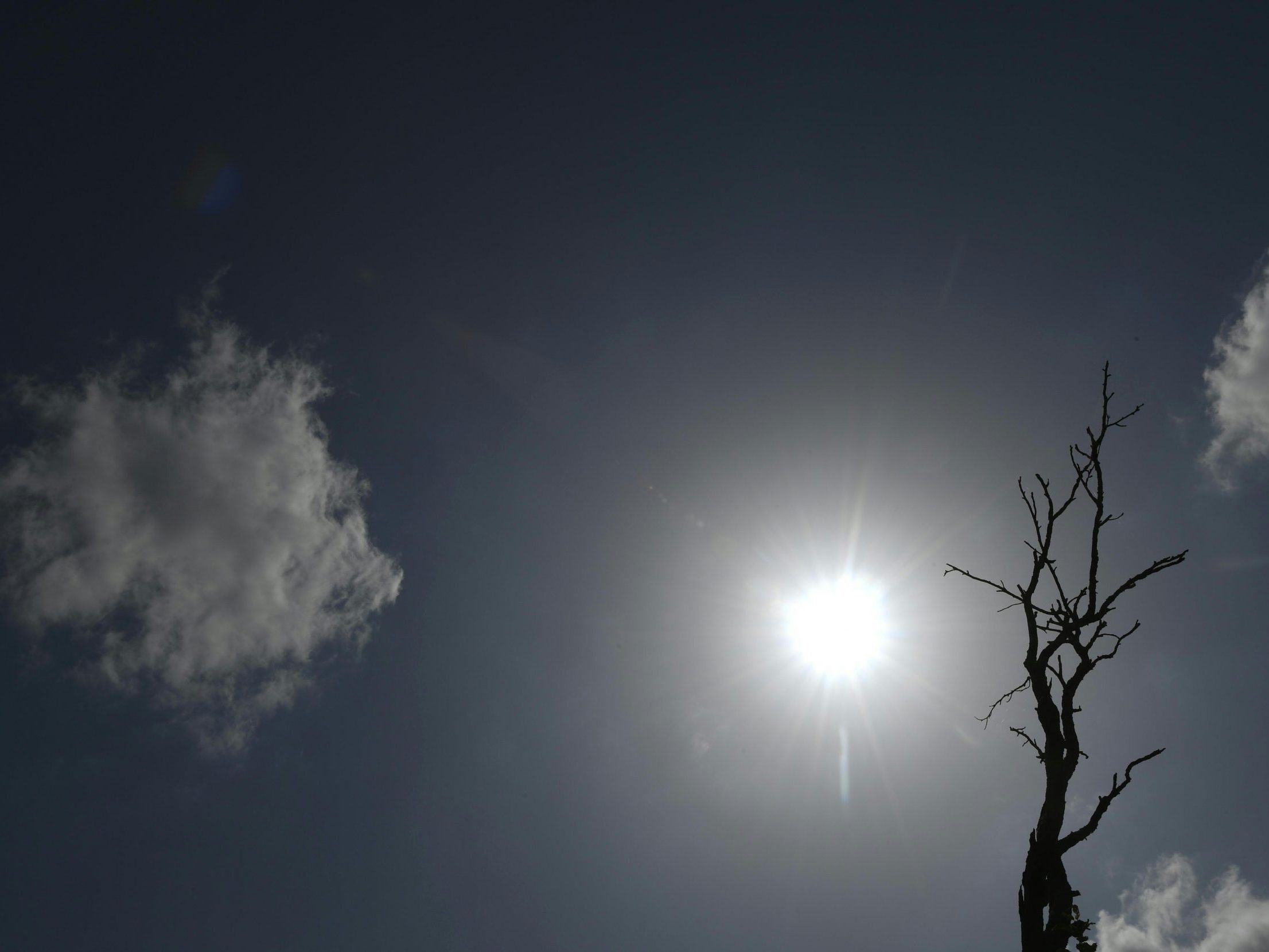 In einem "Appellbrief" fordern zahlreiche Unternehmen "verlässliche politische Rahmenbedingungen" beim Klimaschutz. In einem "Appellbrief" fordern zahlreiche Unternehmen "verlässliche politische Rahmenbedingungen" beim Klimaschutz.