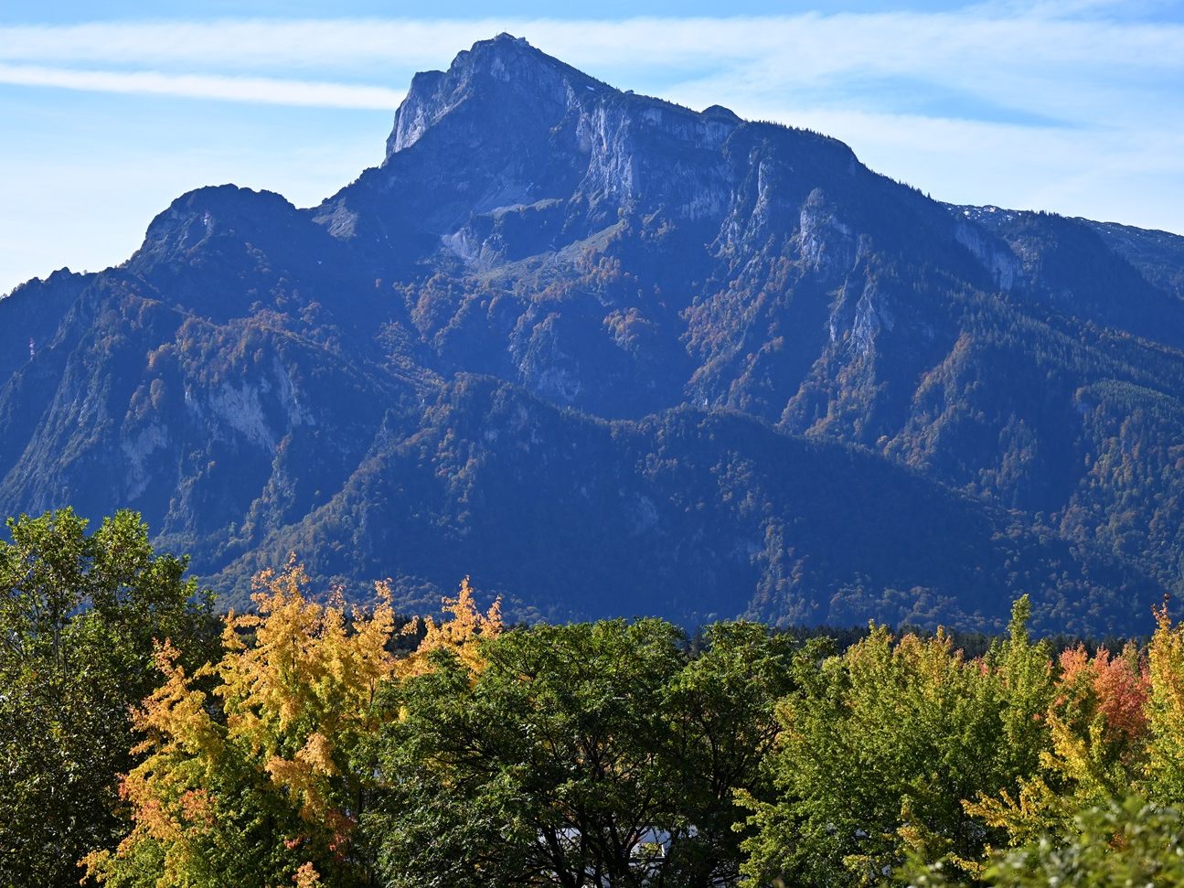 Dieses Jahr hatte einen zu warmen Herbst im Gepäck. Dieses Jahr hatte einen zu warmen Herbst im Gepäck.