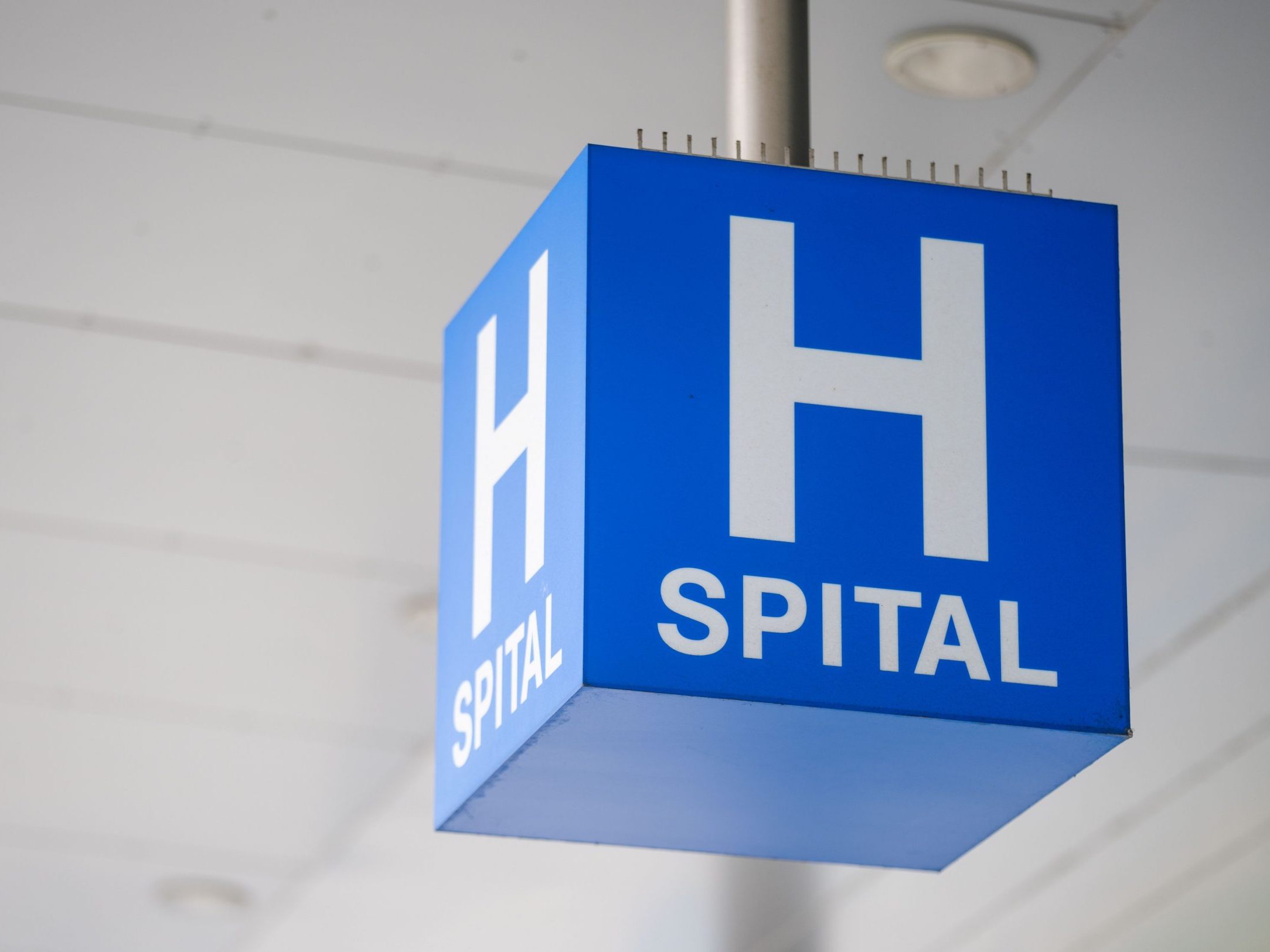 Landwirt nach Stier-Attacke in Kärnten ins Spital gebracht.