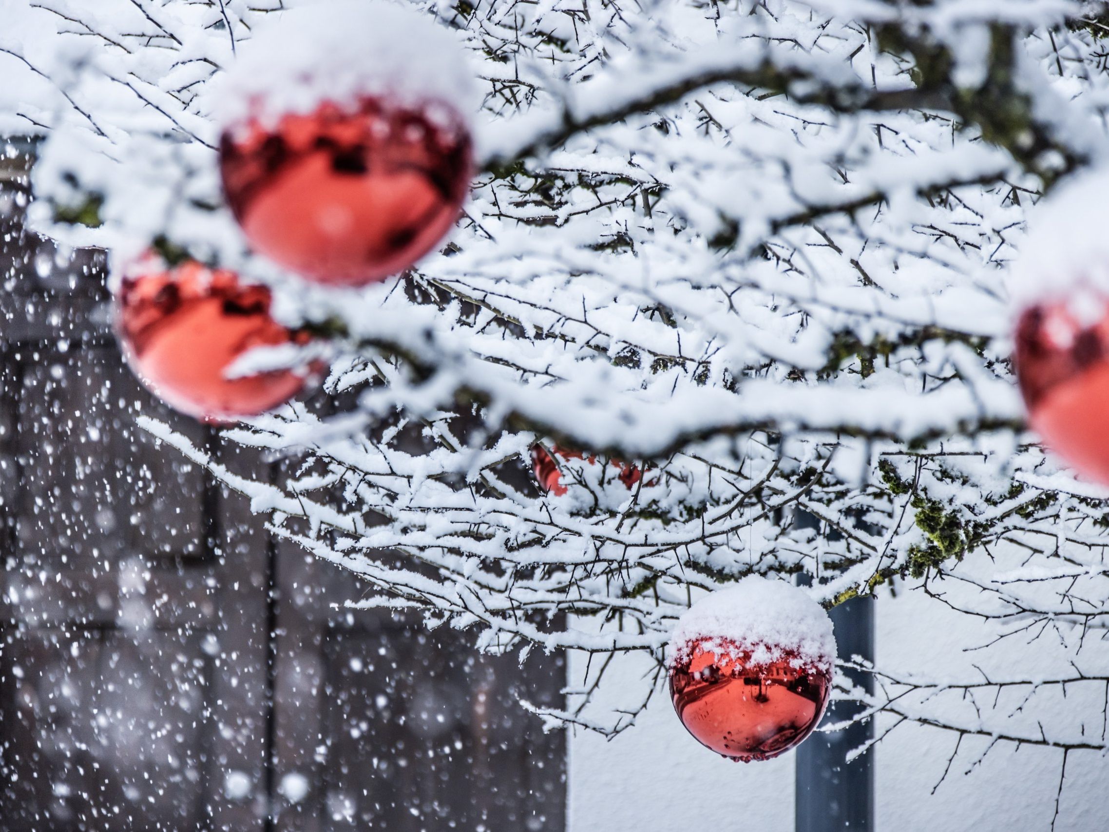 Winter Bezau