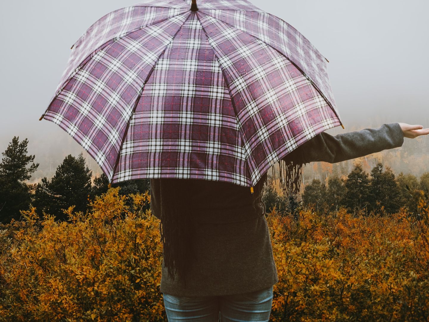 Die Wetterprognose für die kommenden Tage im Detail. Die Wetterprognose für die kommenden Tage im Detail.