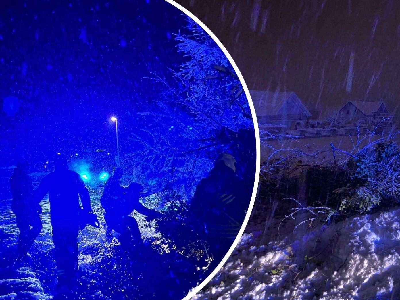 In der Nacht auf Freitag sorgte heftiger Schneefall für einen umgestürzten Baum. In der Nacht auf Freitag sorgte heftiger Schneefall für einen umgestürzten Baum.