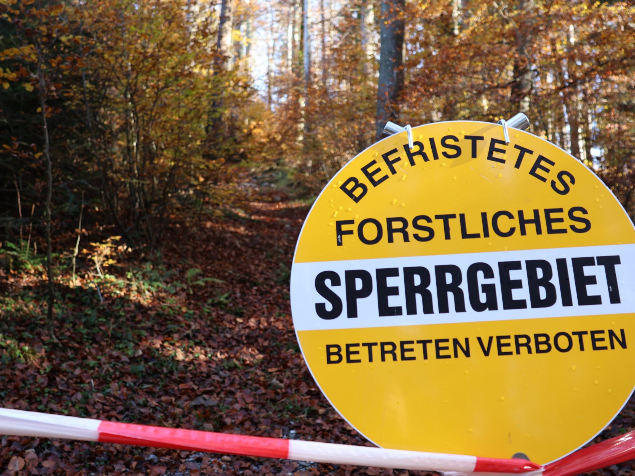 Der Kummenberg-Gipfel ist wegen Gefahr wegen Holzarbeiten von 21. bis 23.11.2024 gesperrt. Der Kummenberg-Gipfel ist wegen Gefahr wegen Holzarbeiten von 21. bis 23.11.2024 gesperrt.