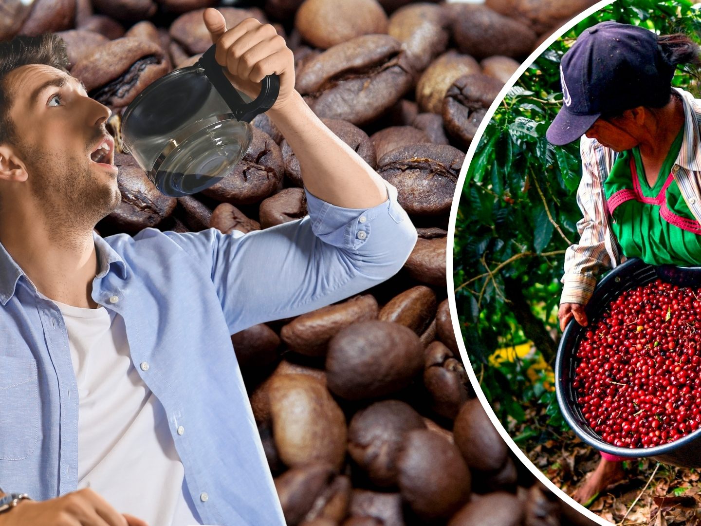 Preis für Arabica-Bohnen bereits auf höchstem Niveau seit 1977. Preis für Arabica-Bohnen bereits auf höchstem Niveau seit 1977.
