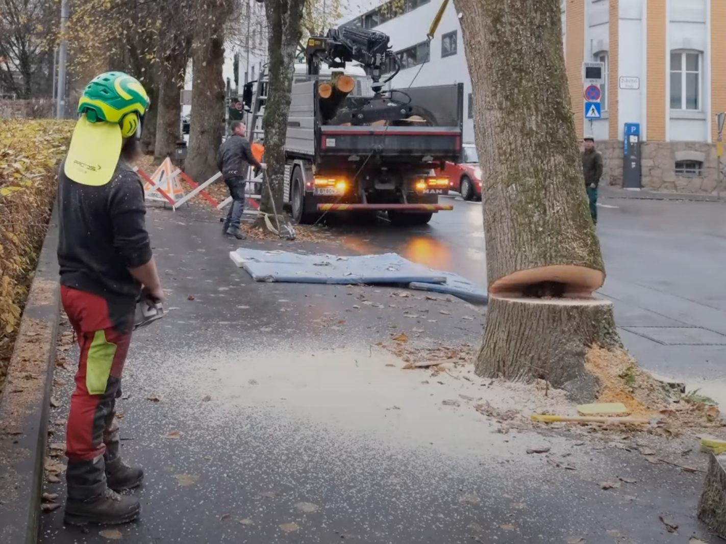 In Bregenz mussten zwei Bäume gefällt werden.