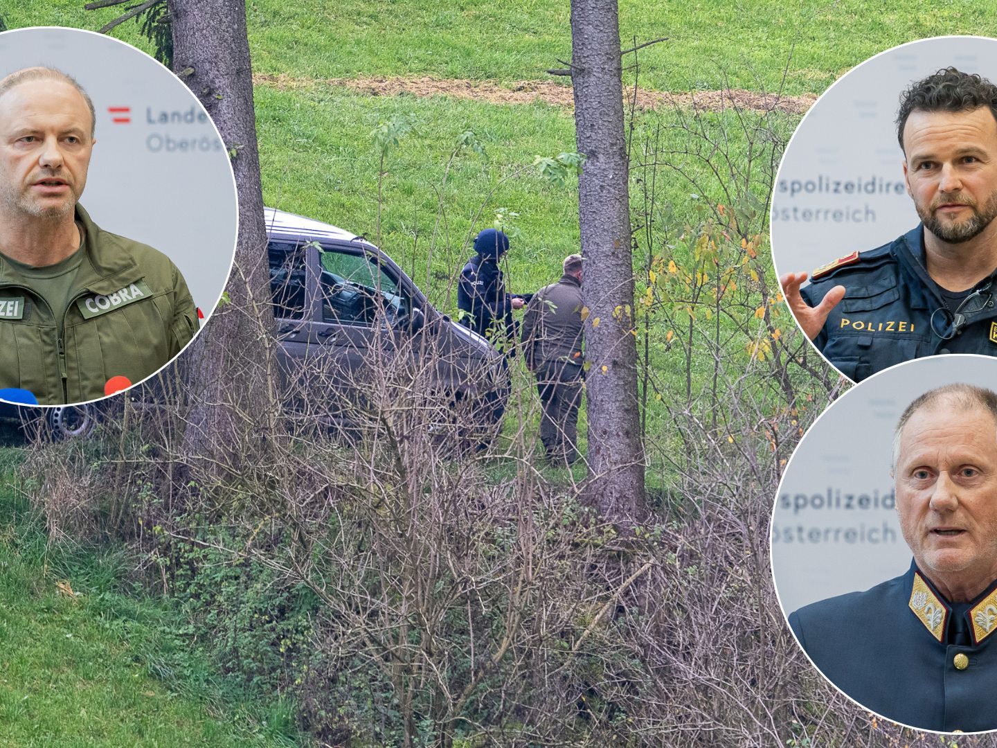 Polizisten der SIG OÖ entdeckten ihn in Waldstück
