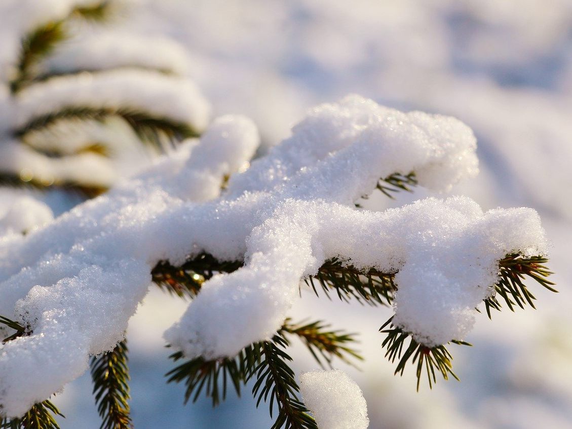 Die Schneefallgrenze sinkt in der kommenden Woche.
