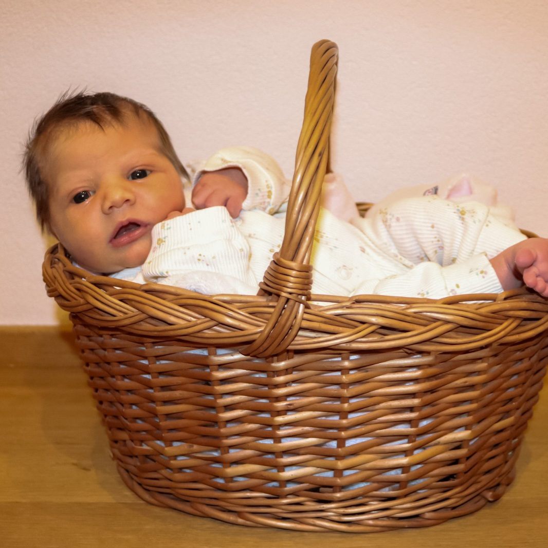 Das ganze Team von VOL.AT gratuliert recht herzlich!