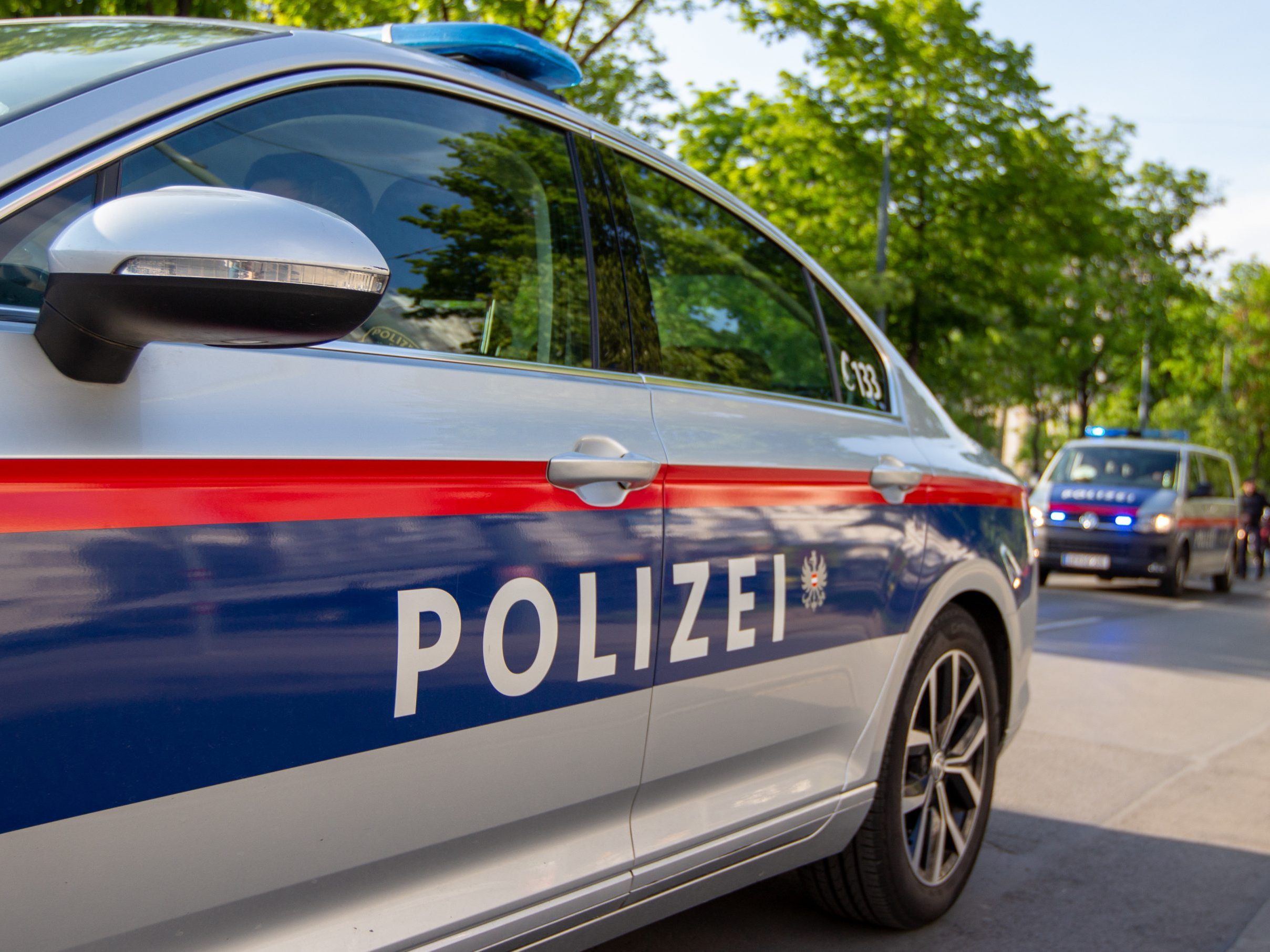 Die beiden Tatverdächtigen wurden angezeigt.
