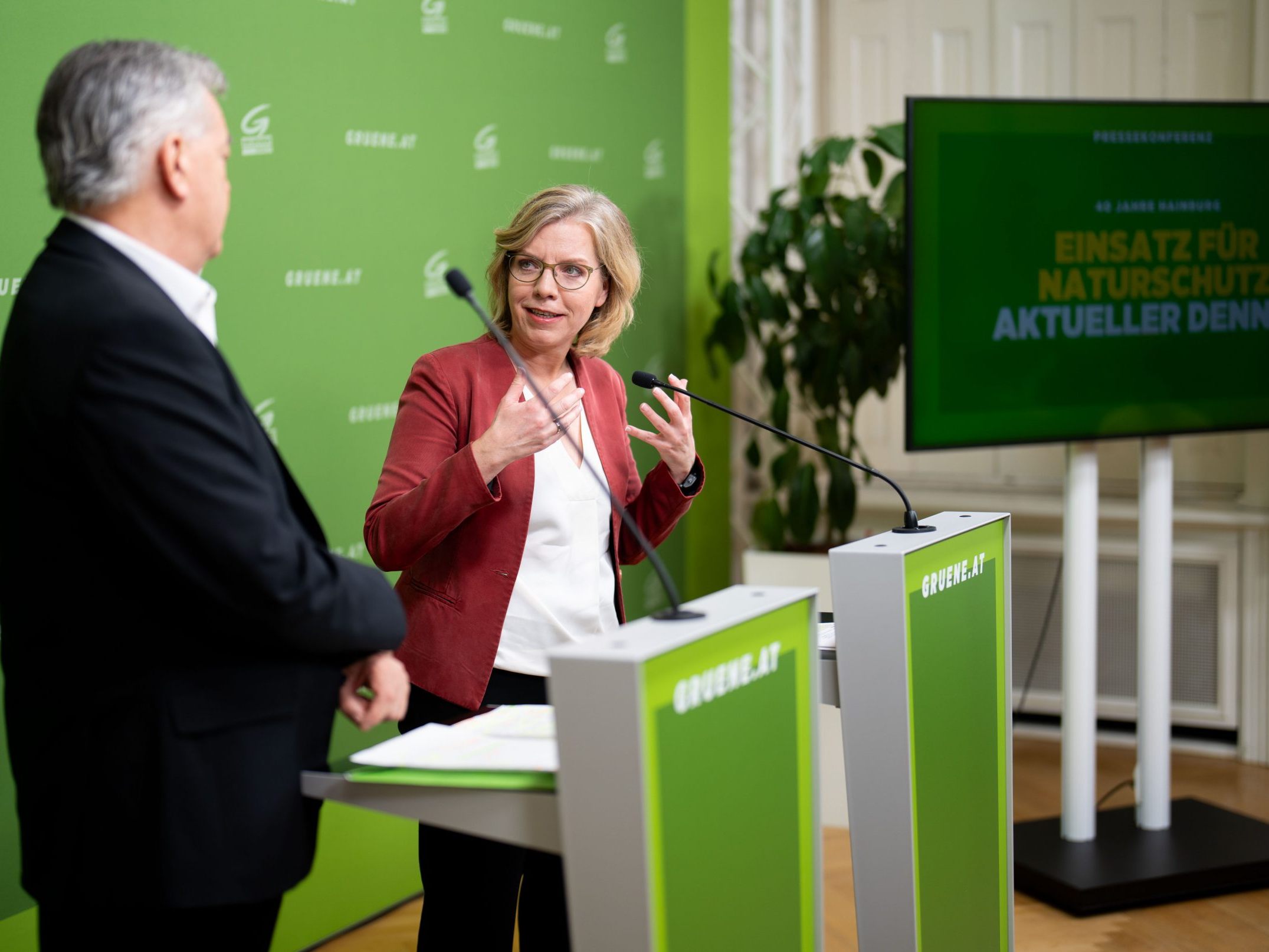 Die Grünen haben auf die Regierungsverhandlungen geblickt.